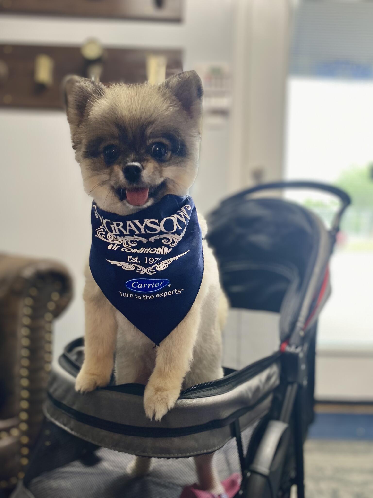 Photo credit: nextdoor