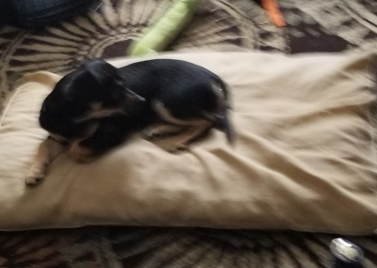 Pet Supermarket Mobile