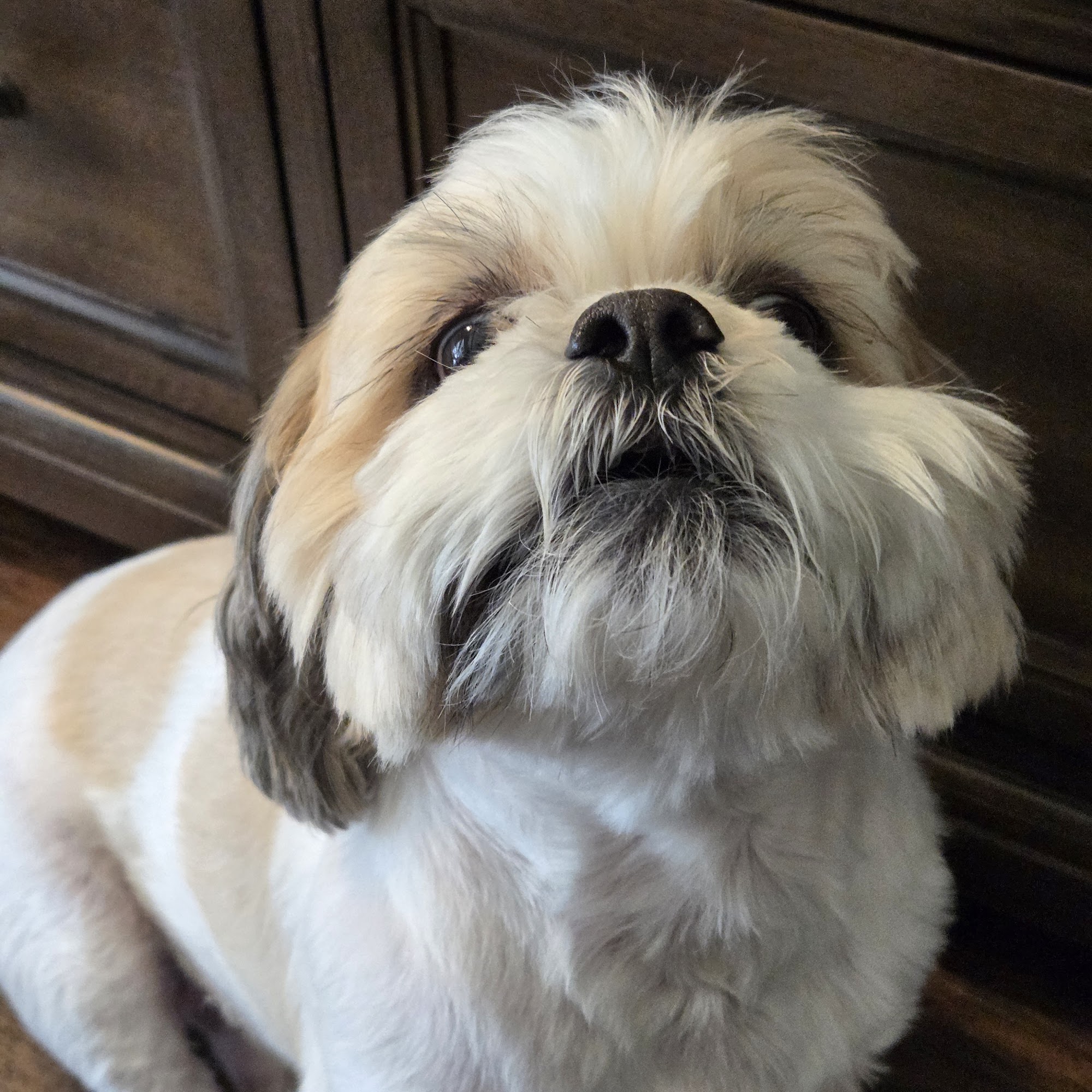 Montgomery Veterinary Associates - Vaughn Road Montgomery