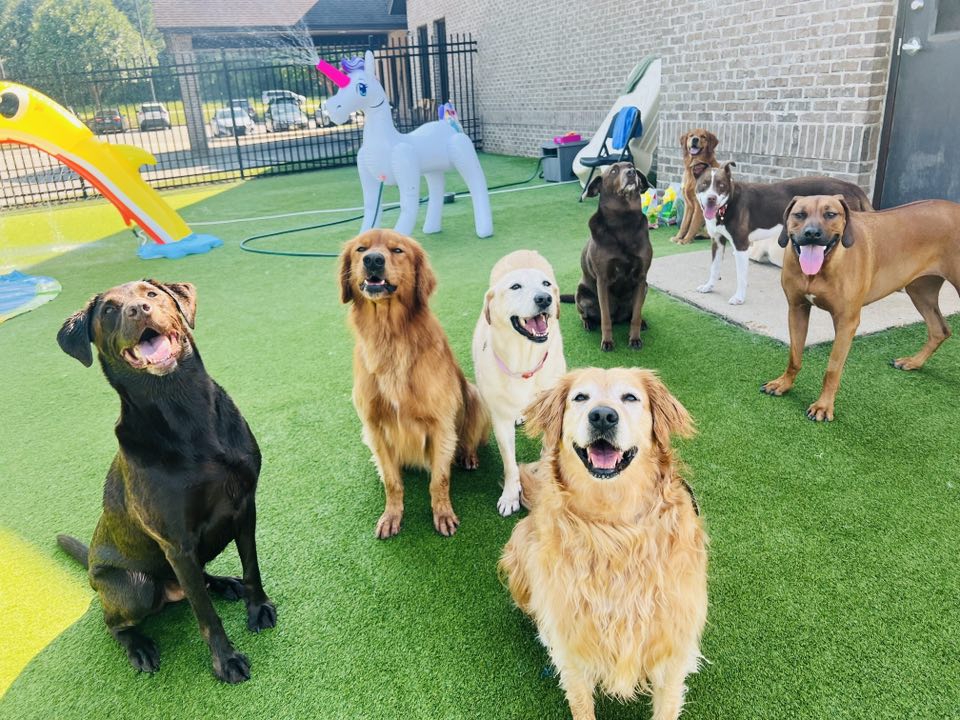 Goodwin Pet Resort at Pike Road Montgomery