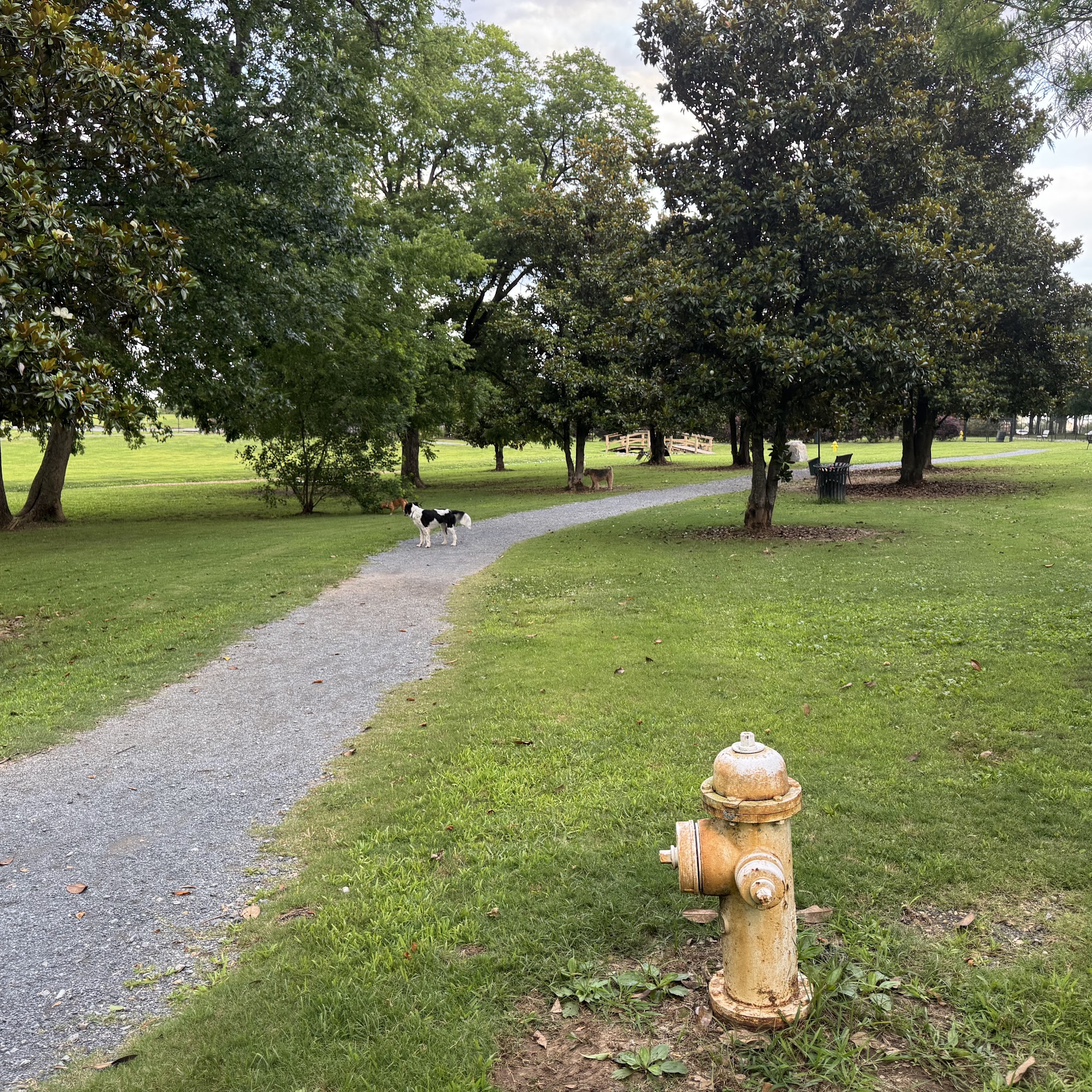 Hannah Daye Ridling Bark Park Montgomery