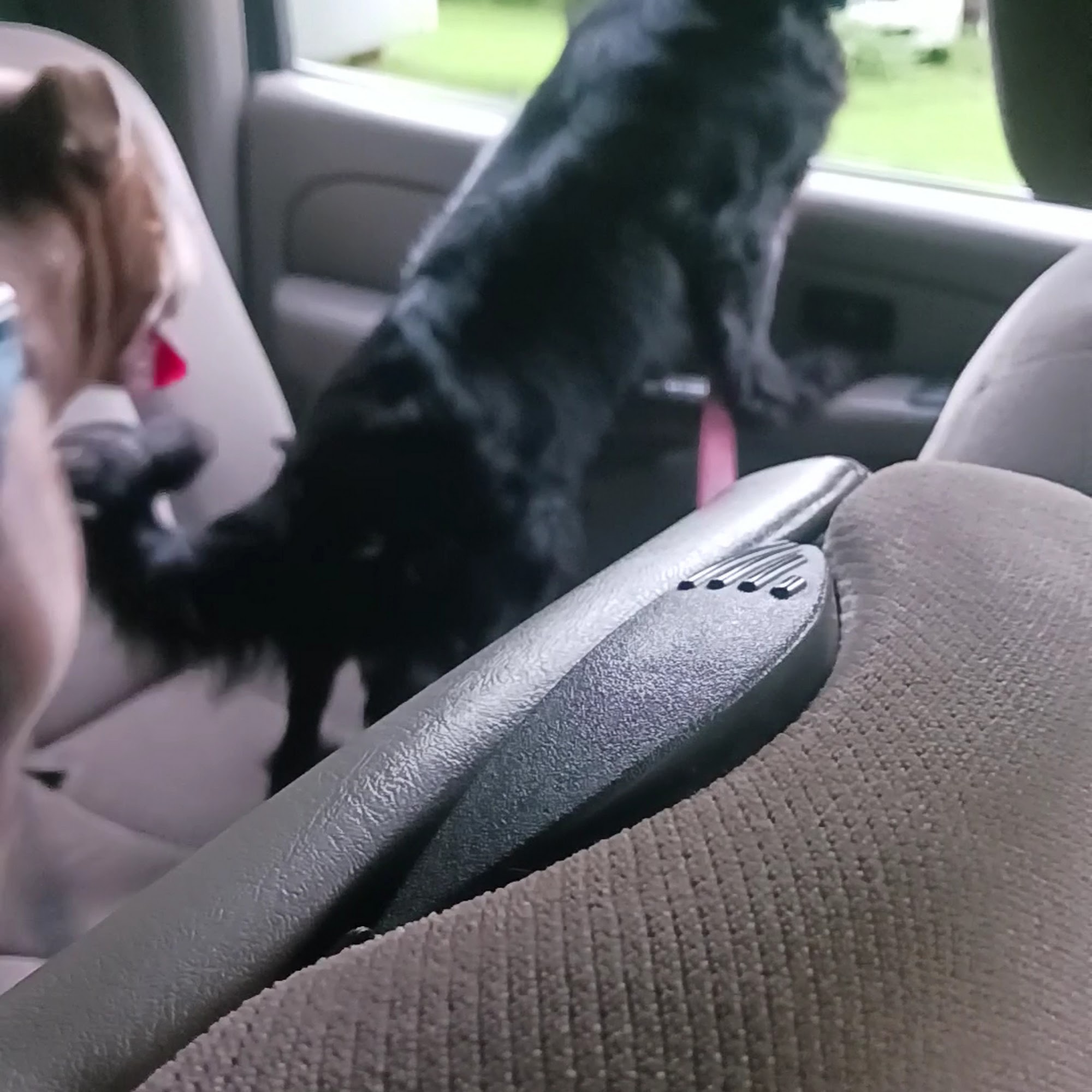 Pet Supermarket Montgomery