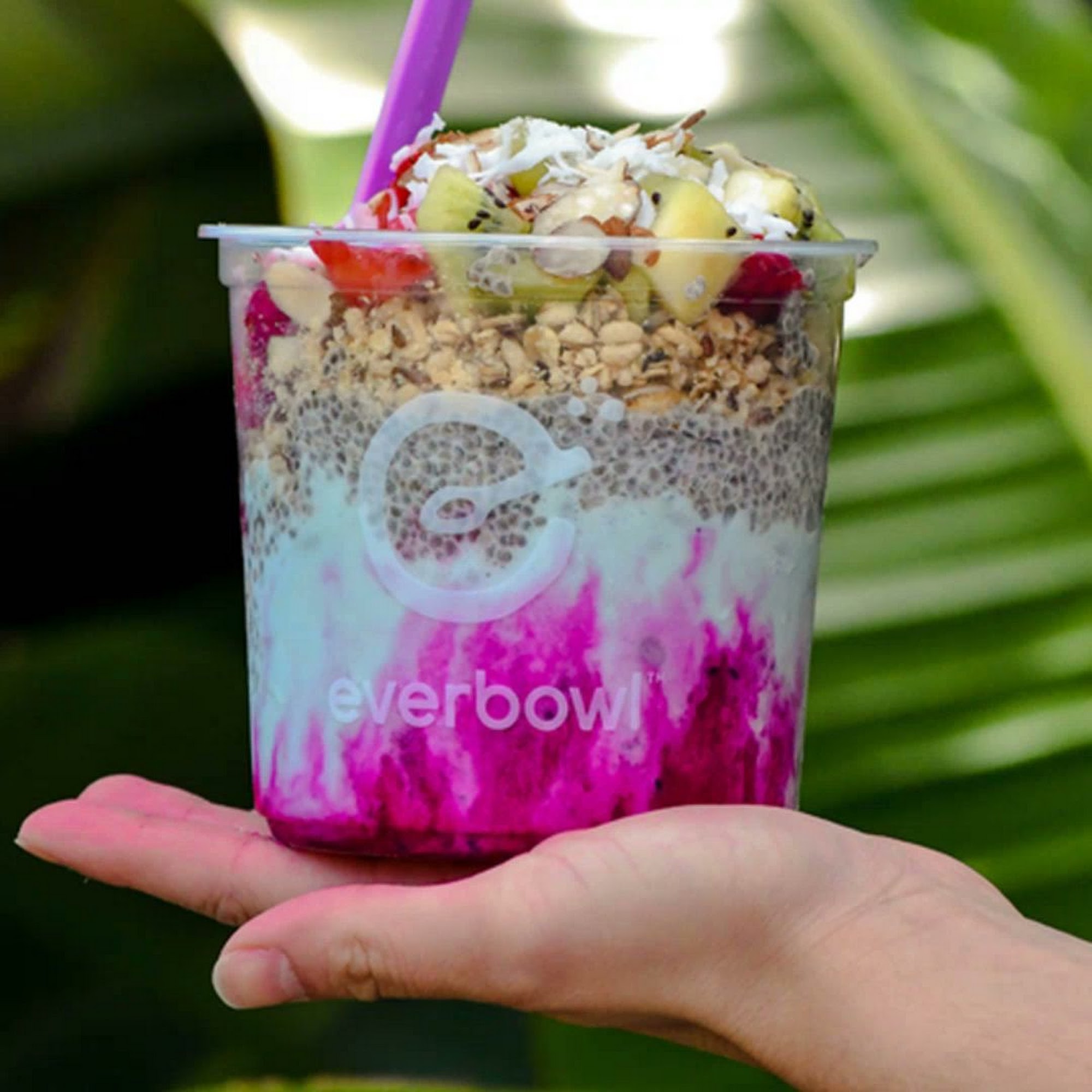 everbowl Montgomery