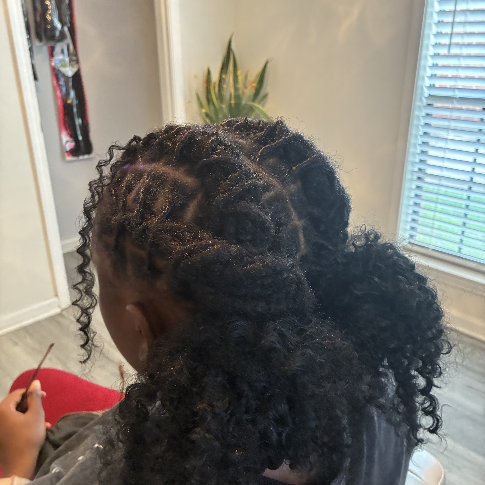 ThaBxst Braids N Locs