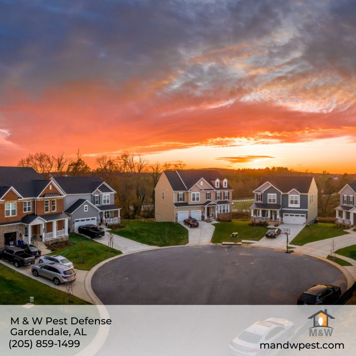 M&W Pest Defense