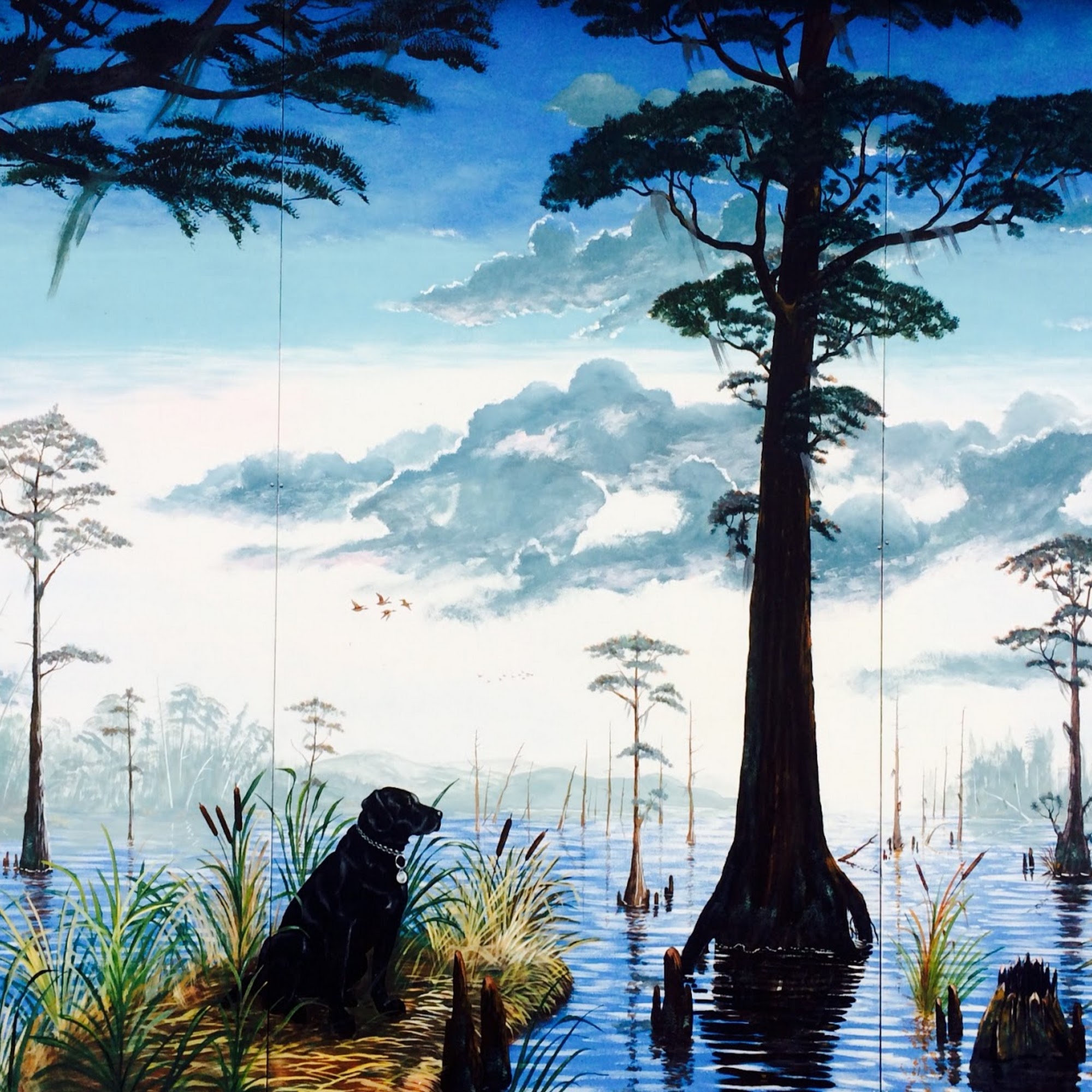 Tidmore Veterinary Hospital Northport