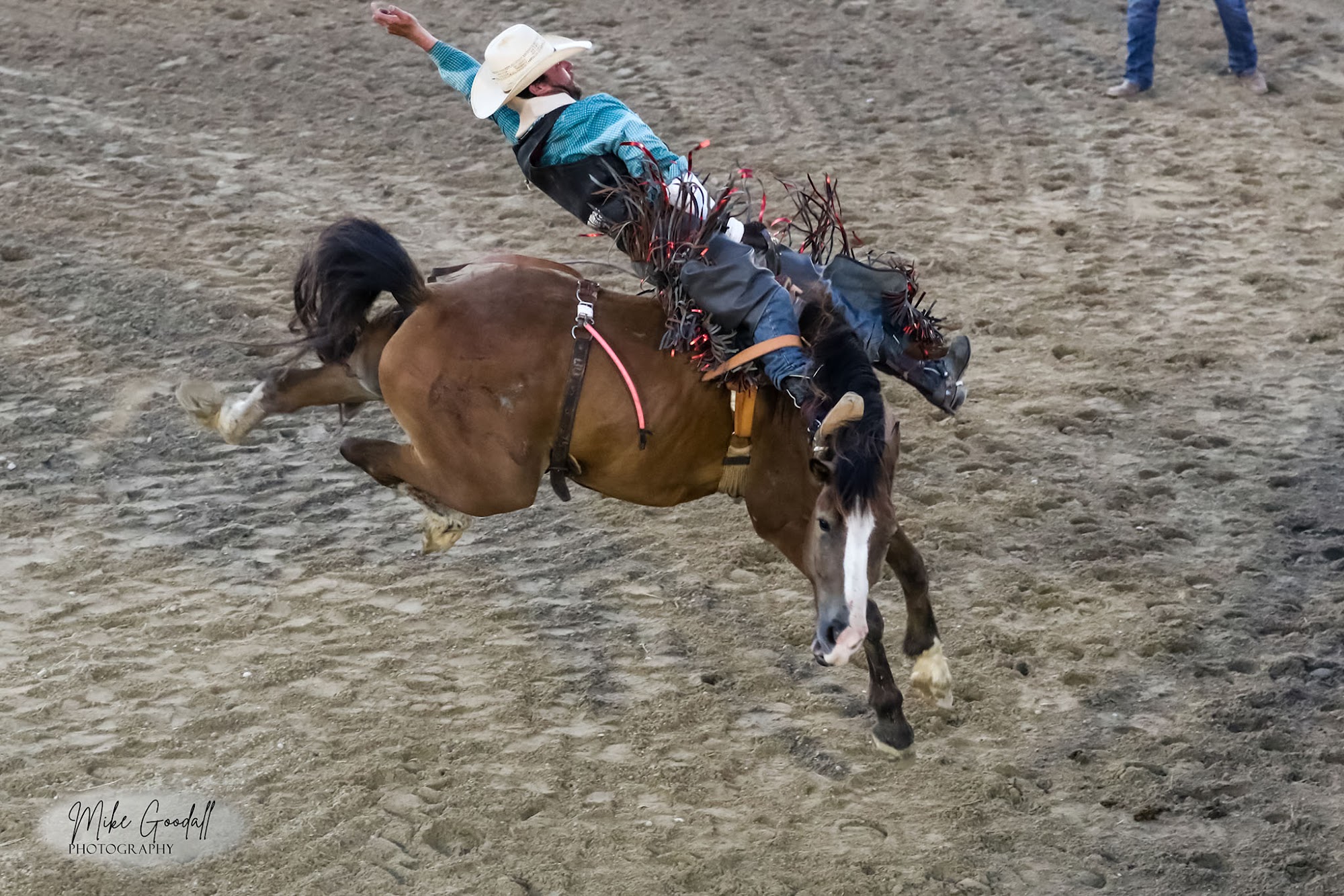RC Jenkins Arena Northport