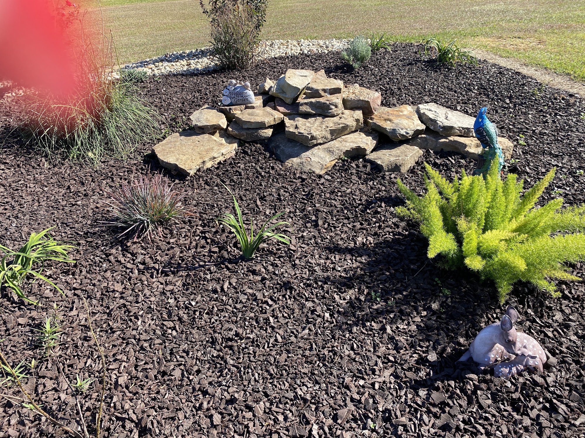 Look Of Xcellence AL-75, Oneonta Alabama 35121