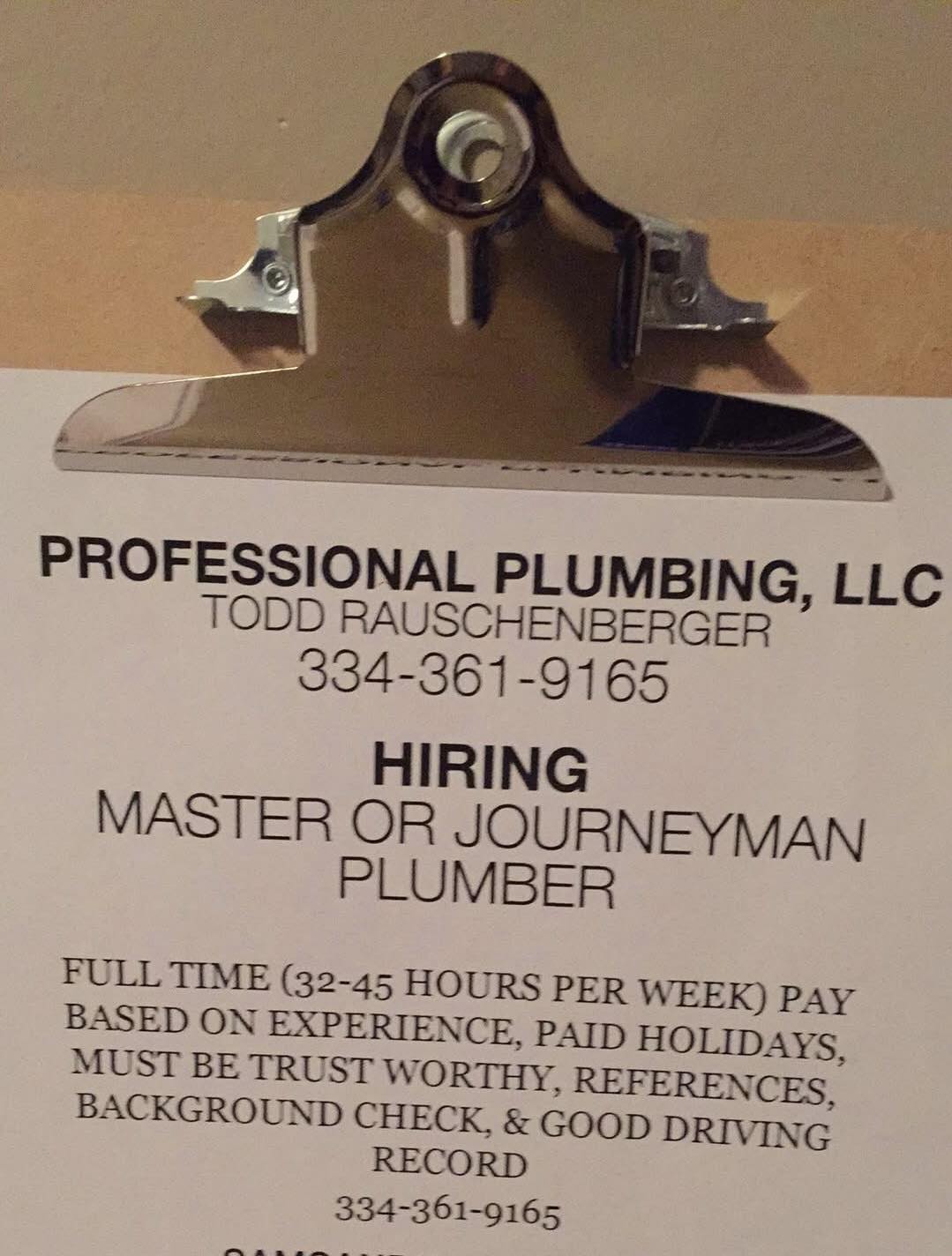 Professional Plumbing & Piping