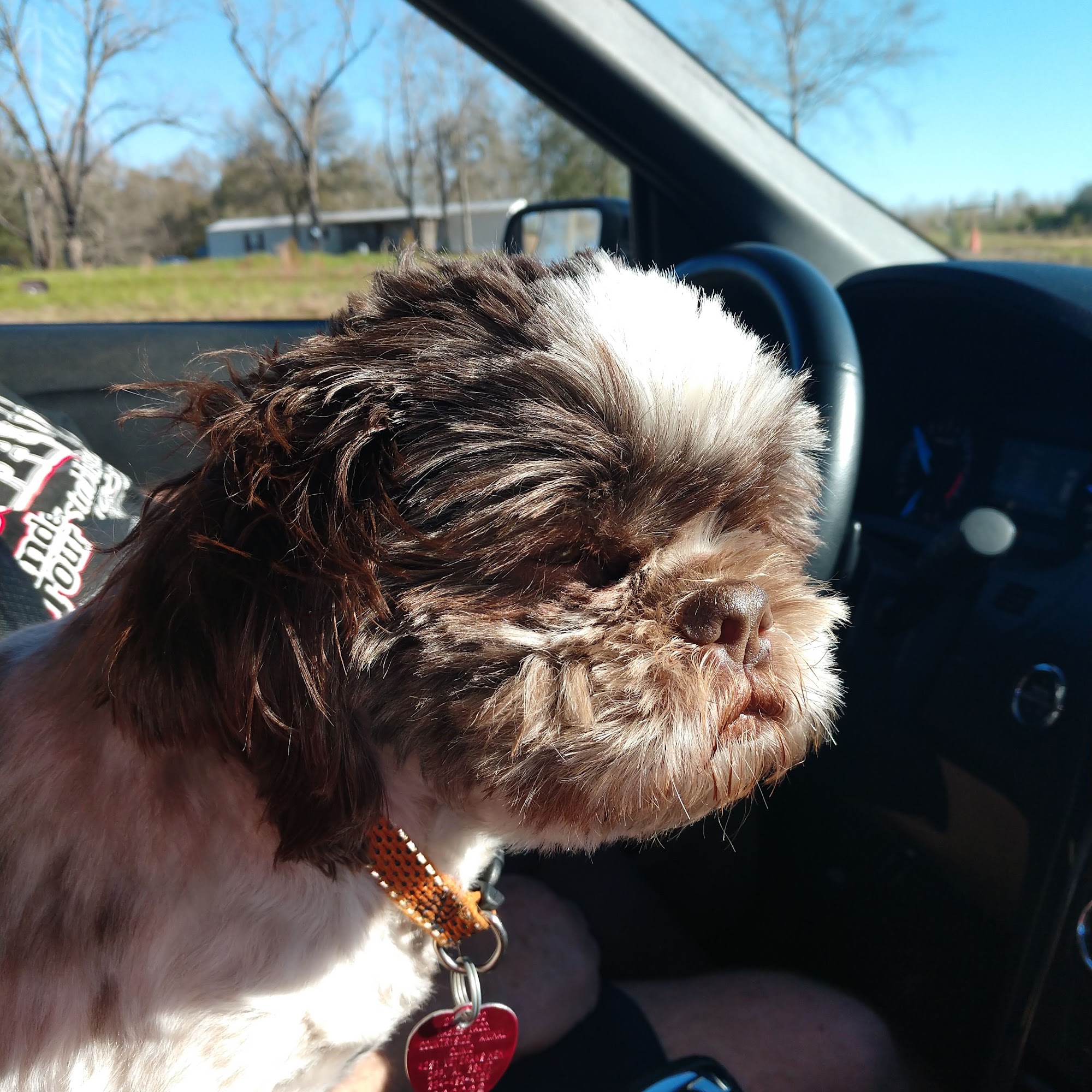 Countryside Animal Clinic Opp