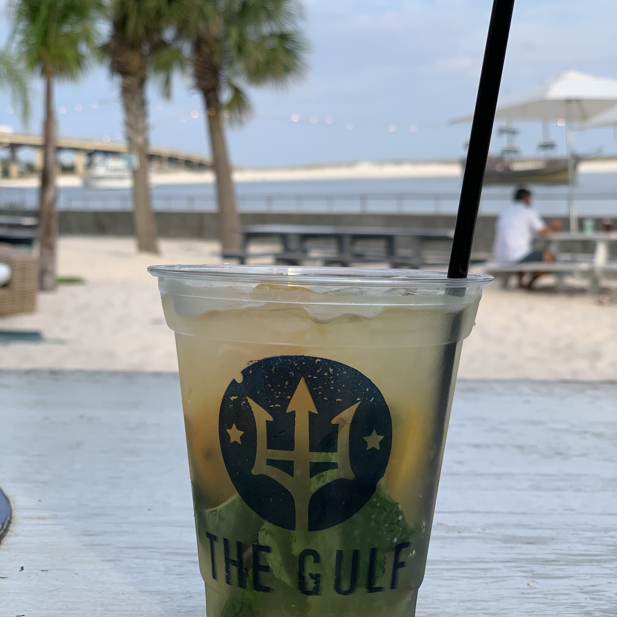 The Gulf Orange Beach