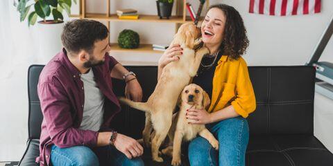 Canal Road Animal Hospital Orange Beach