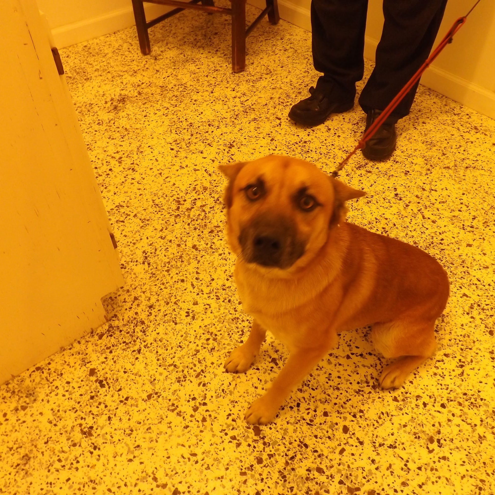 Town and Country Veterinary Hospital - Animal Care Associates Oxford