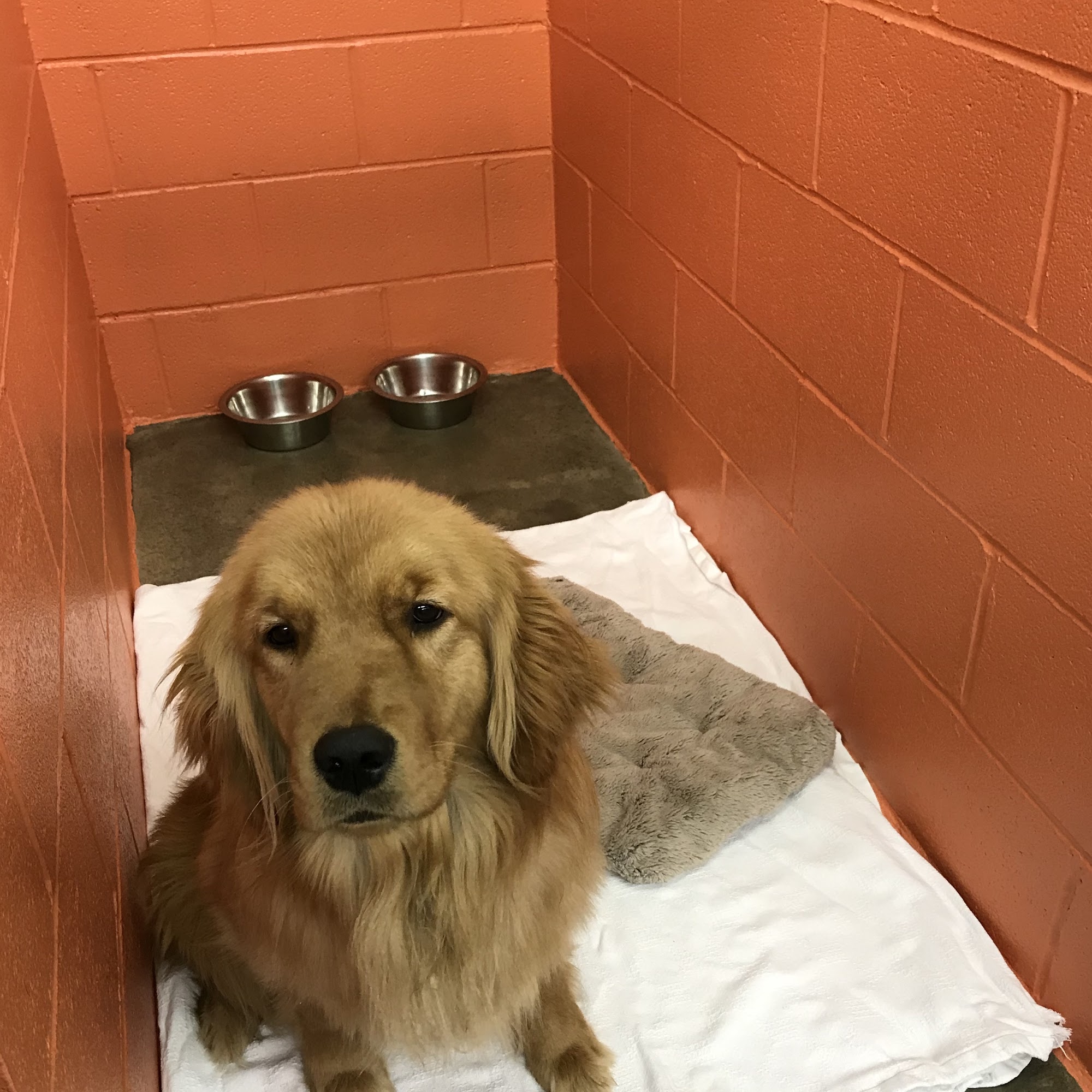 Cheaha Animal Hospital Oxford