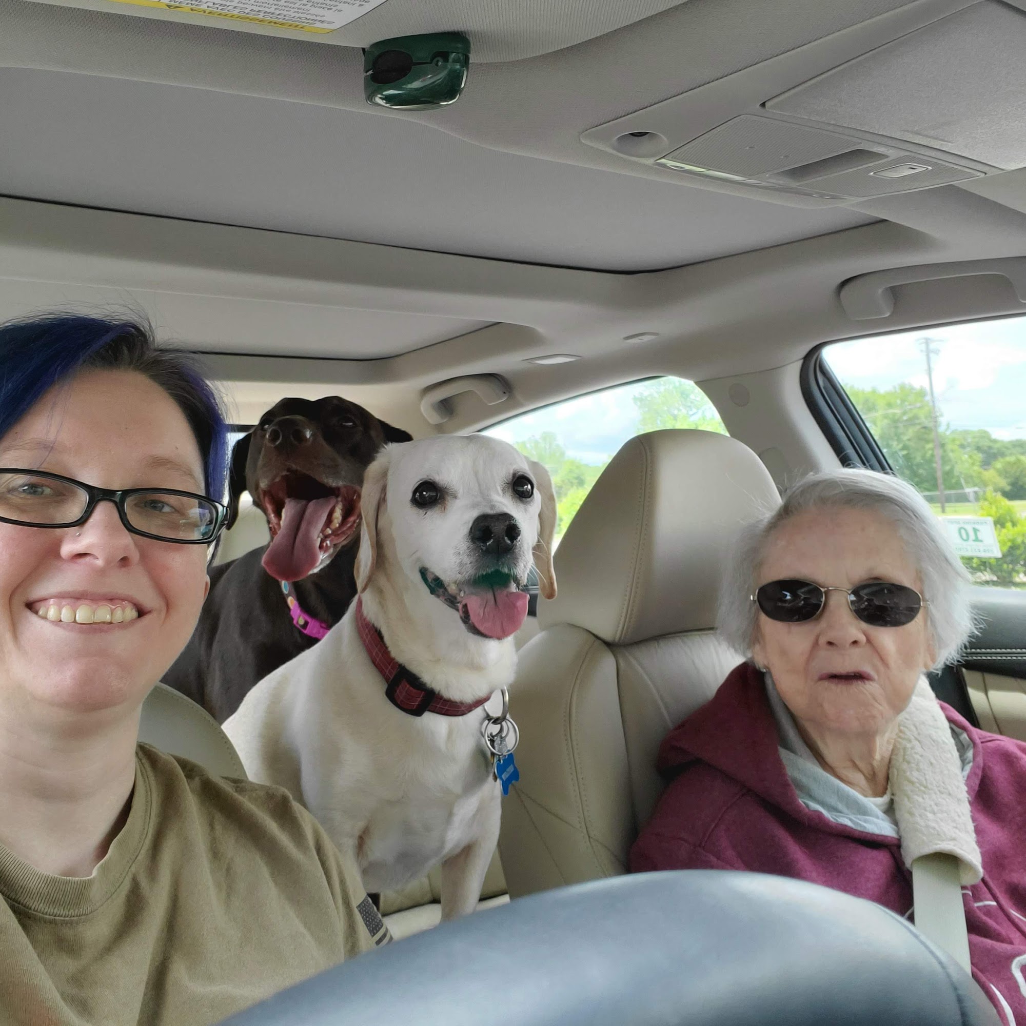 Cheaha Animal Hospital: Hendley William H DVM Oxford