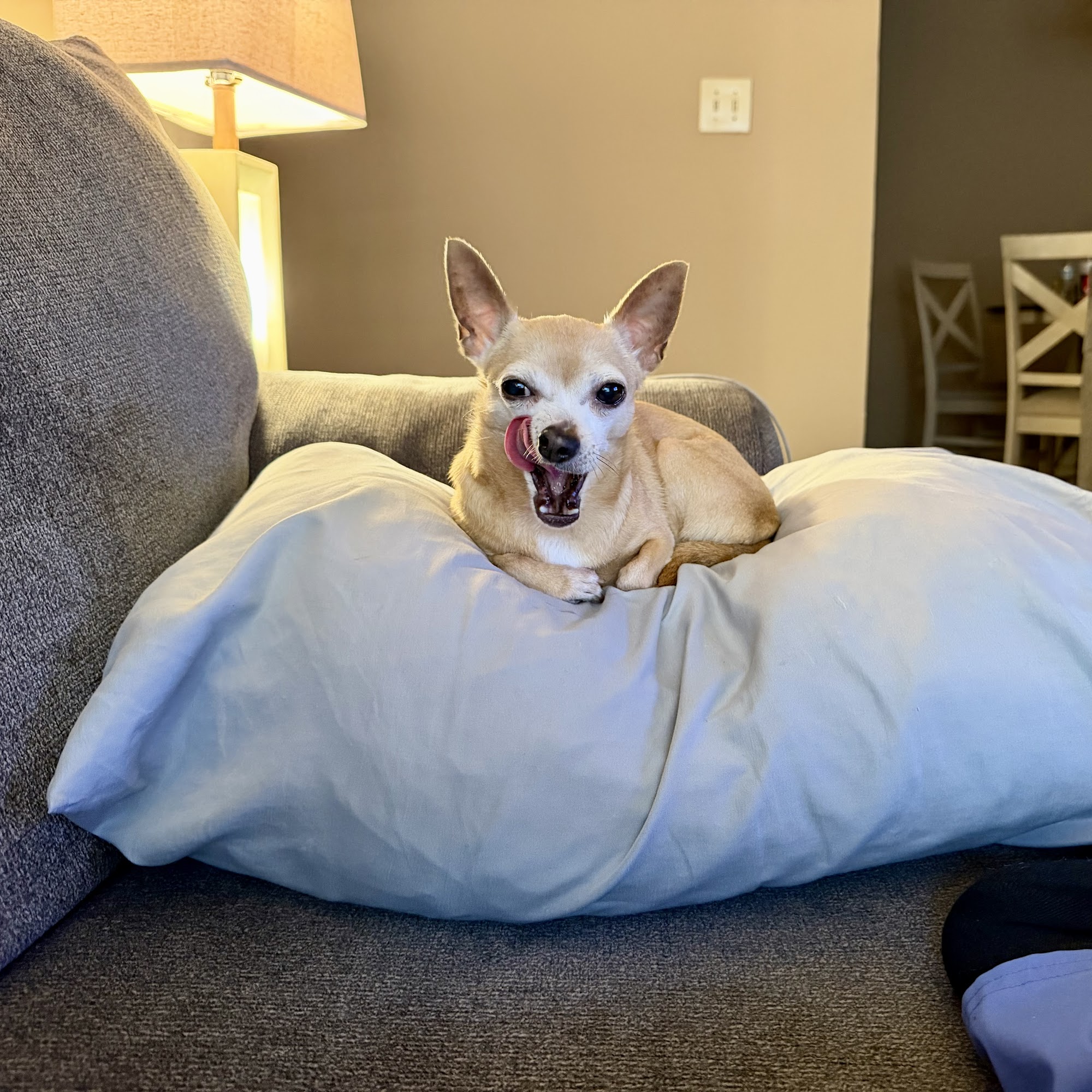 Cropwell Small Animal Hospital Pell City