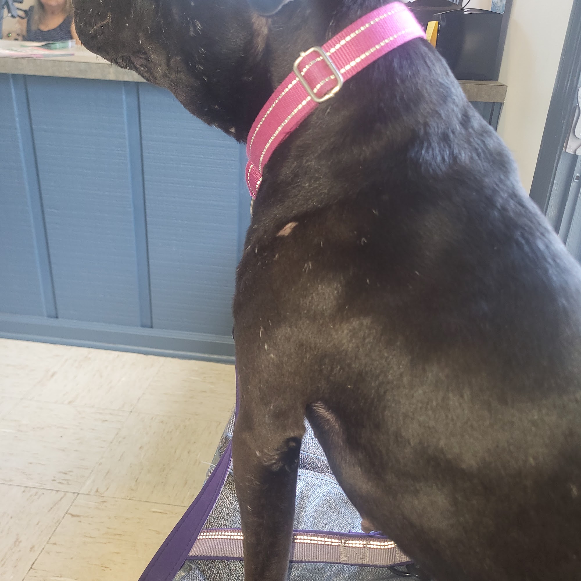 Caldwell, Holley G Phenix City