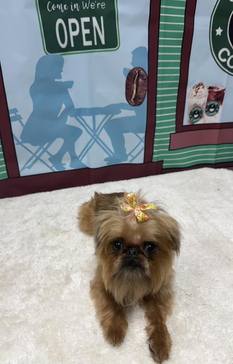 Yuppy Puppy Grooming Salon, Luxury Boarding, and Daycare Phenix City