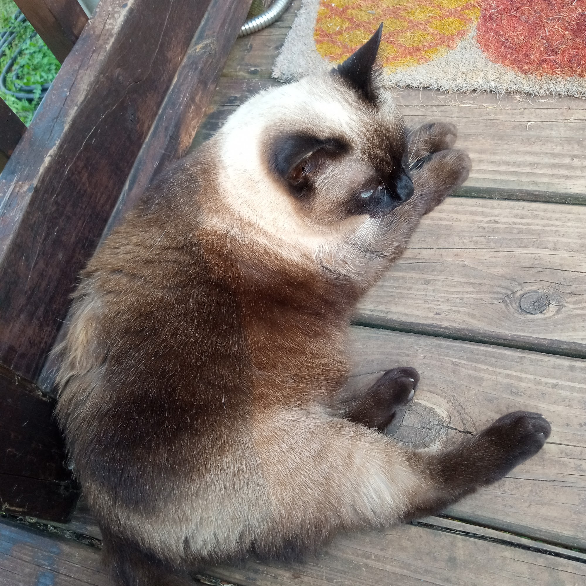 Lusk Animal Clinic Piedmont