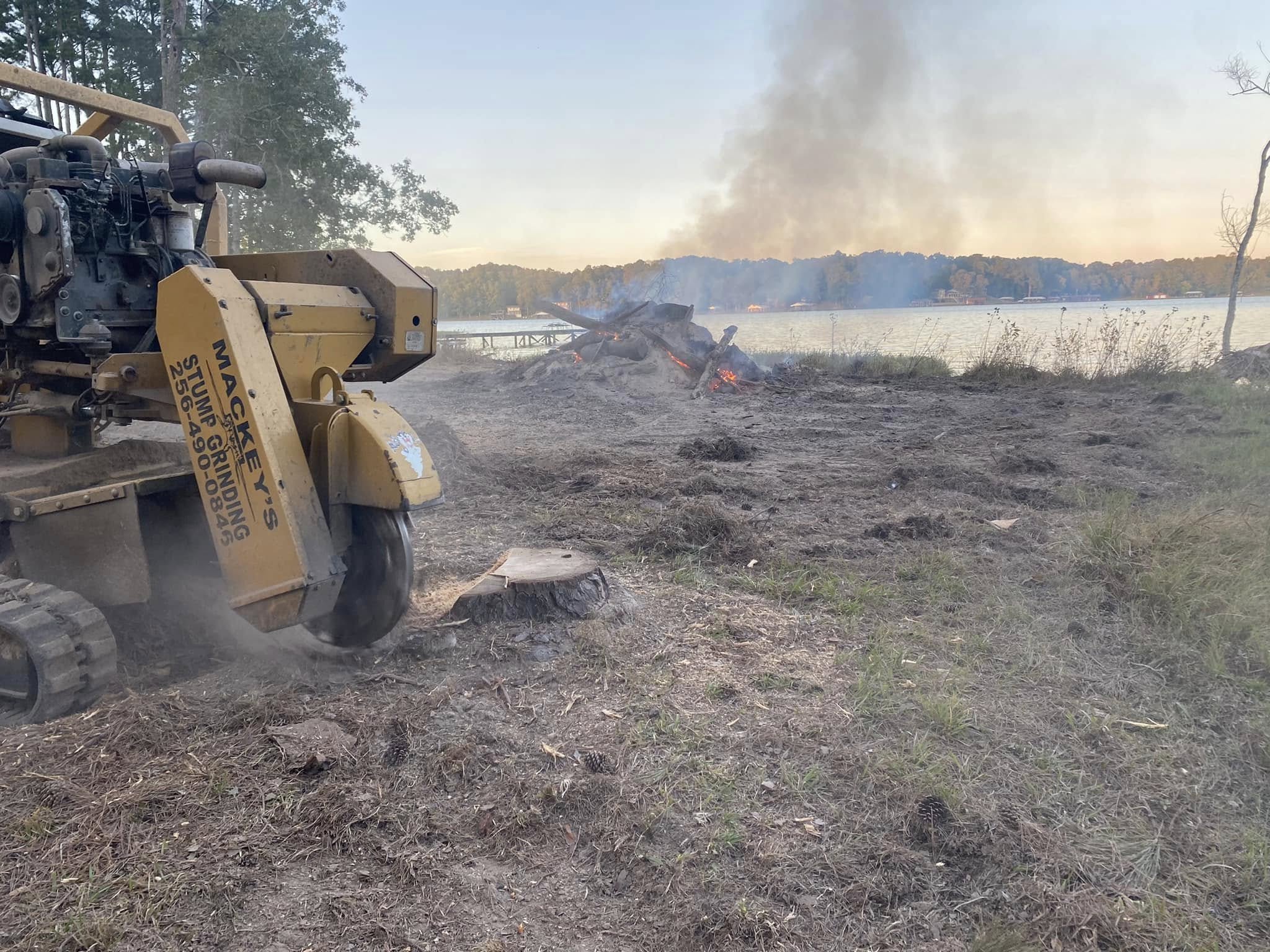 Mackey Stump Grinding