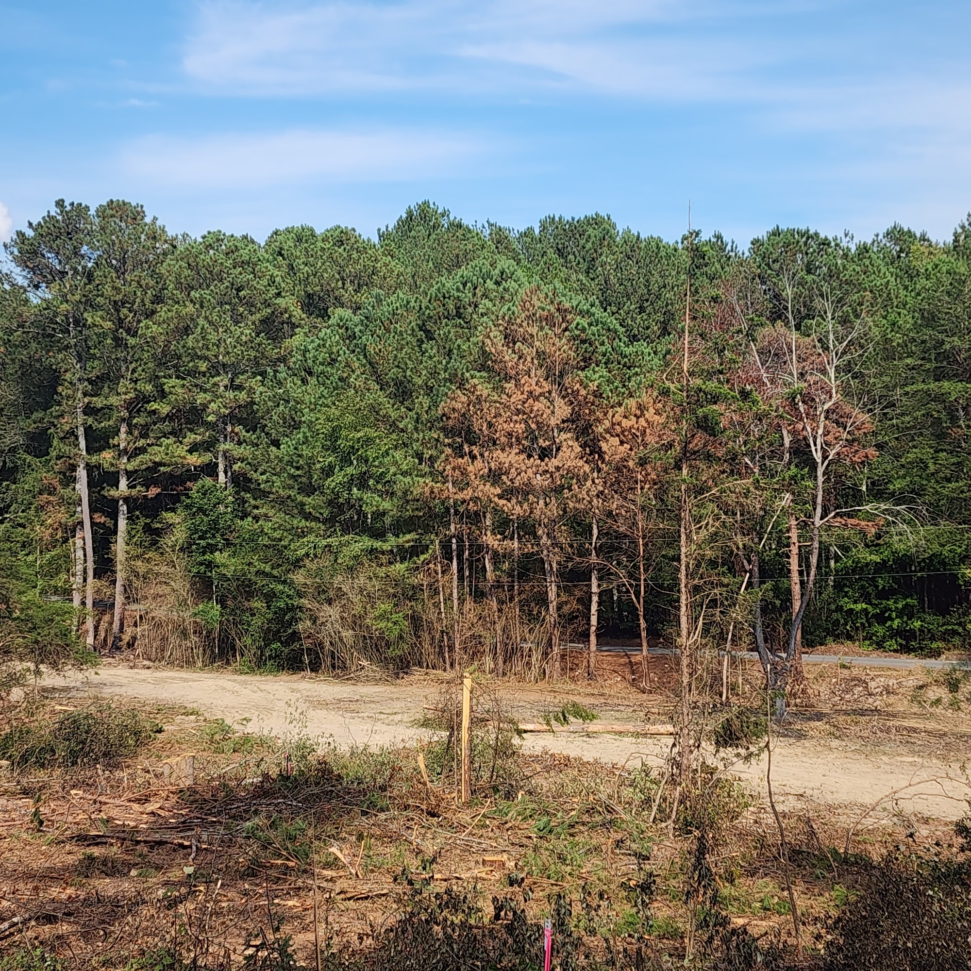 Cherokee Timber Company