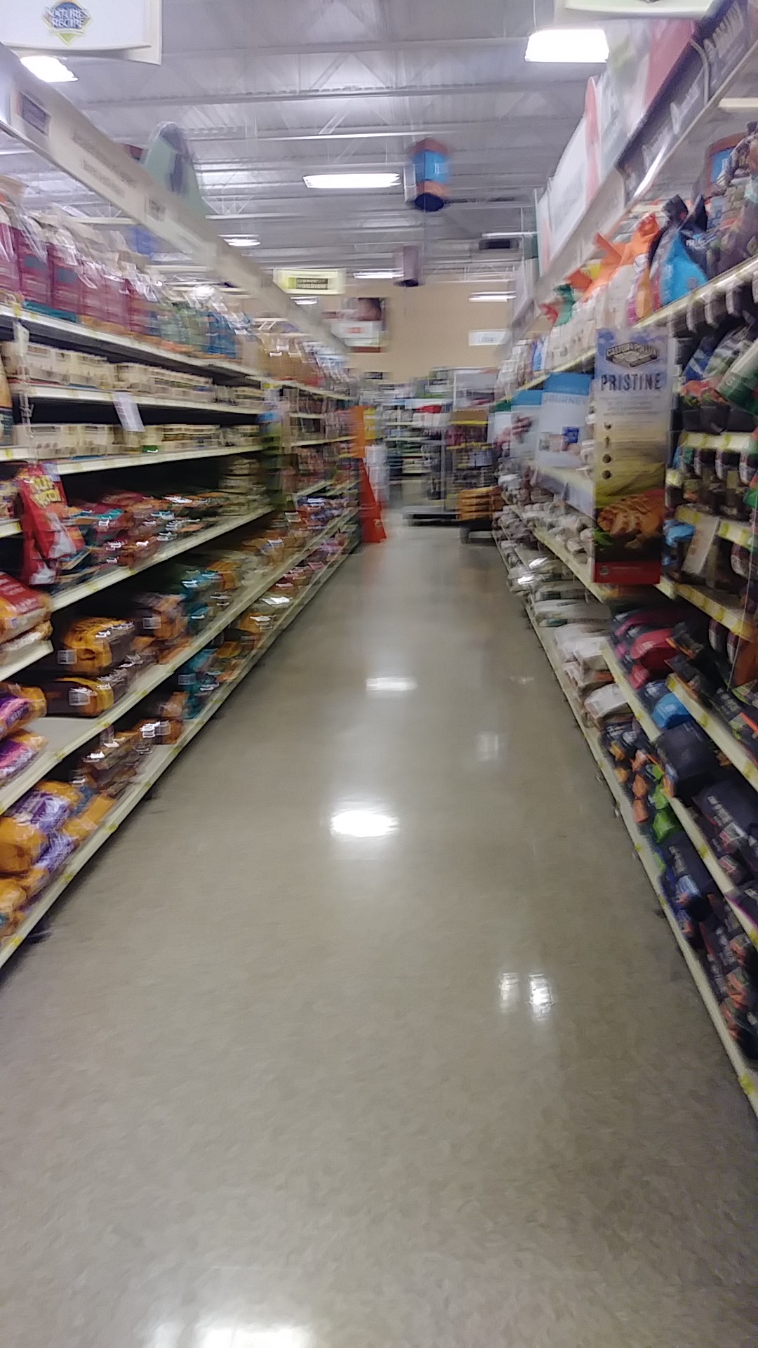 PetSmart Prattville