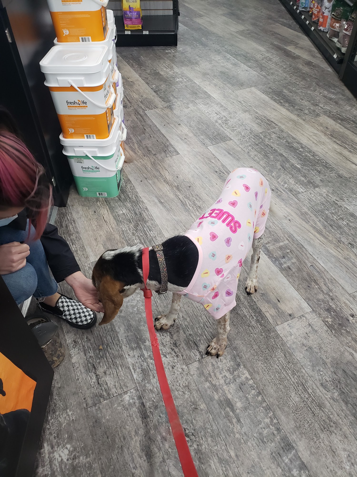 Pet Supermarket Rainbow City