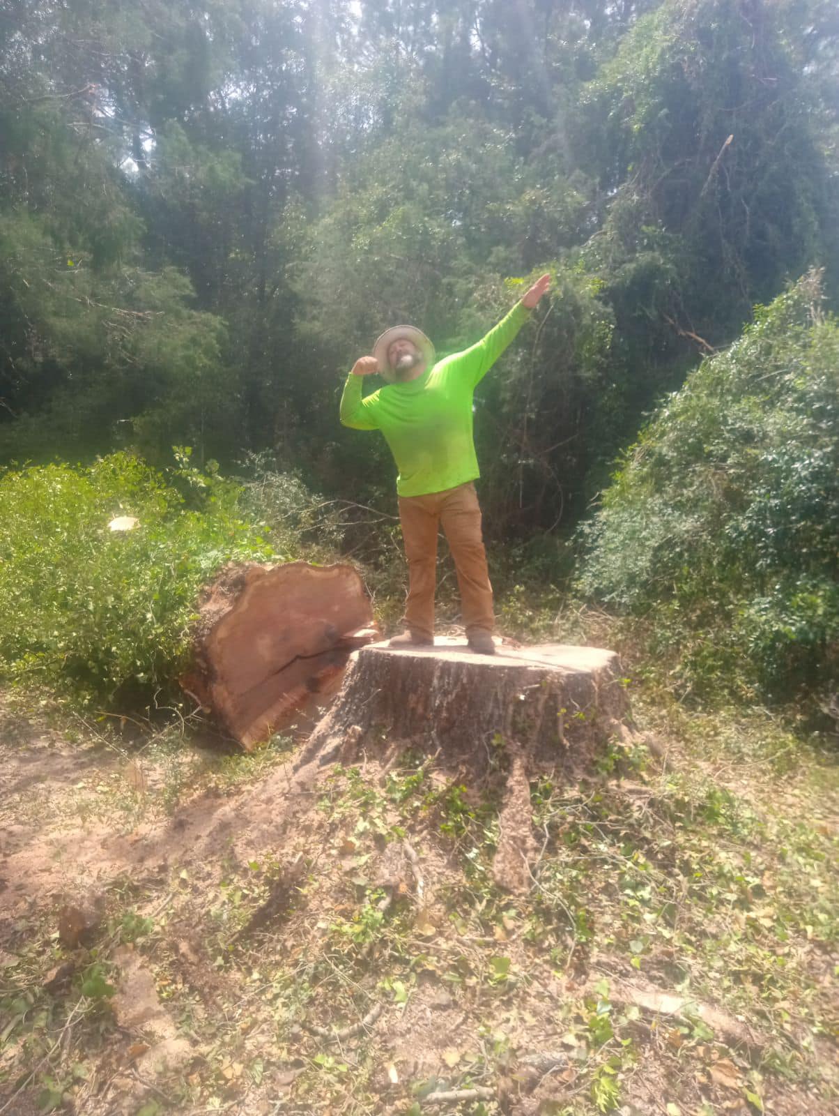 SimCo Tree Service and Dirt Hauling LLC.