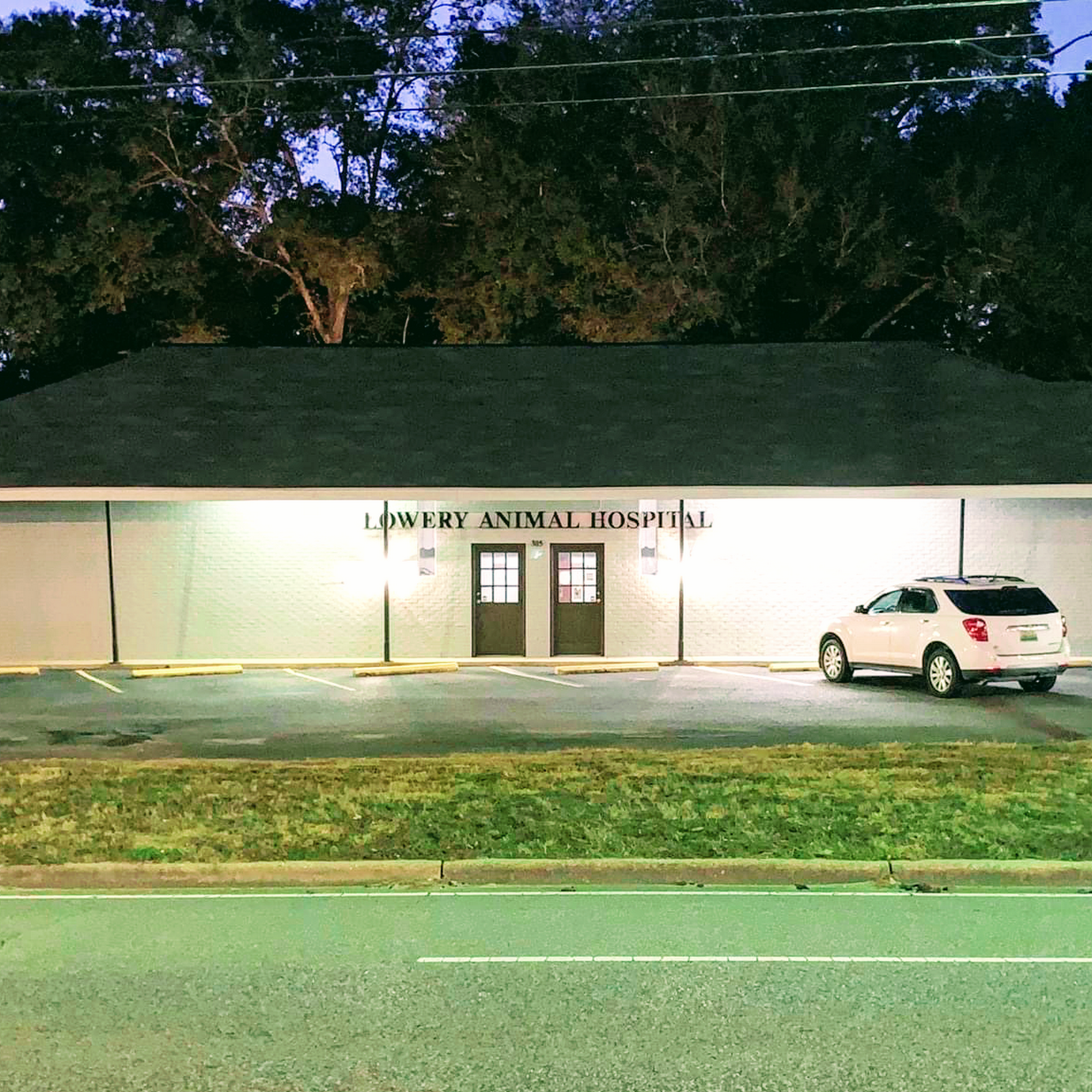 Lowery Animal Hospital Saraland