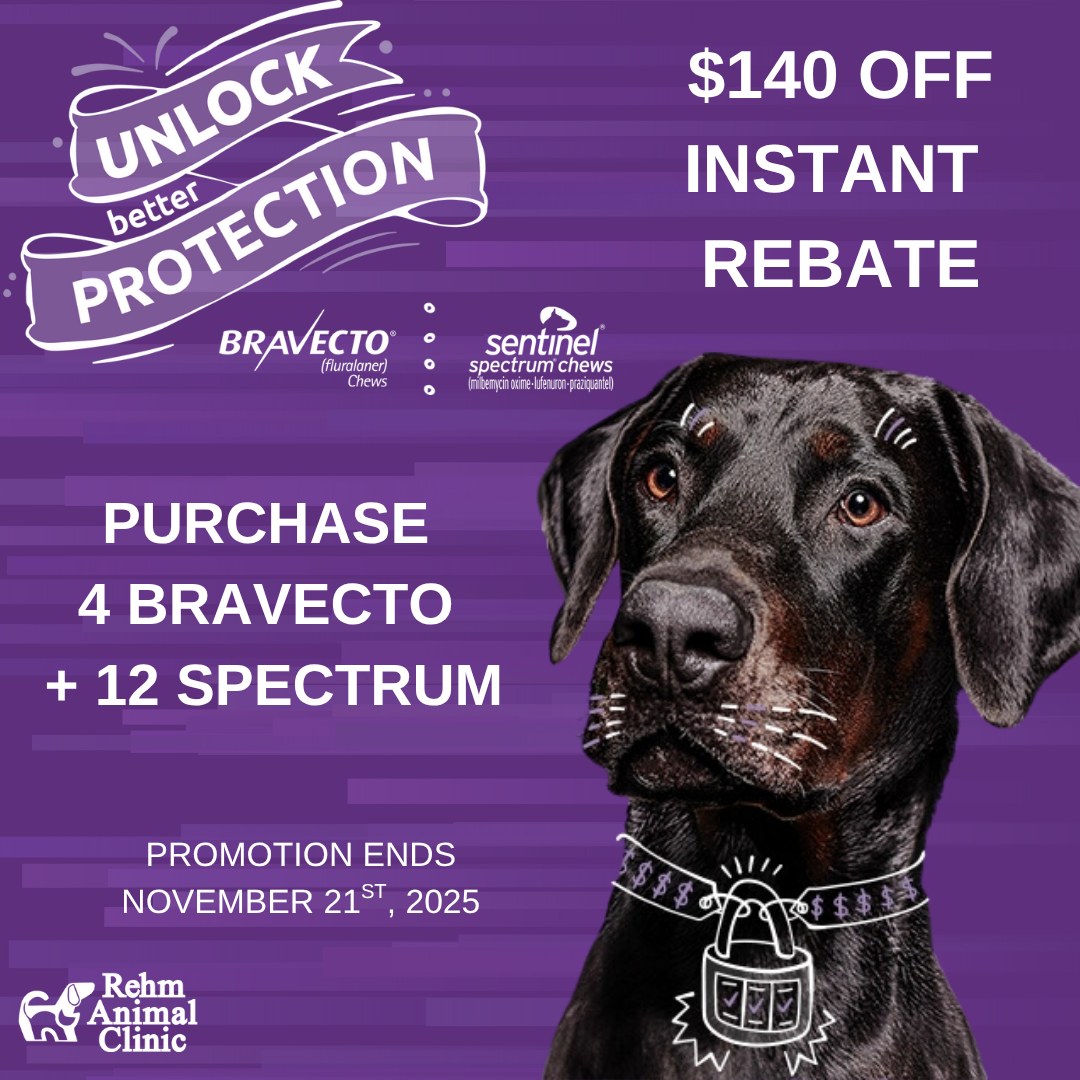 Rehm Animal Clinic at Saraland Saraland