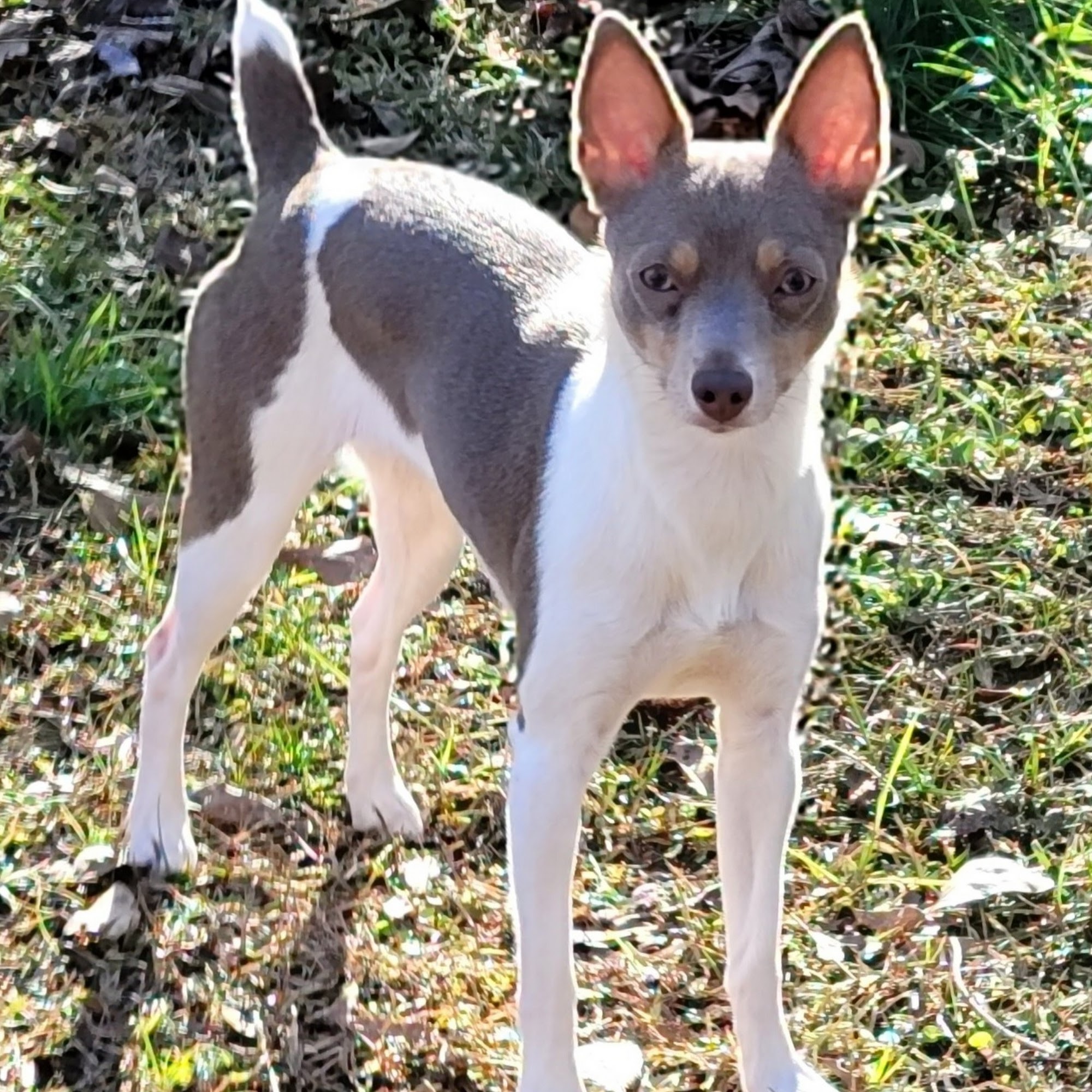 Valley Creek Veterinary Hospital Selma