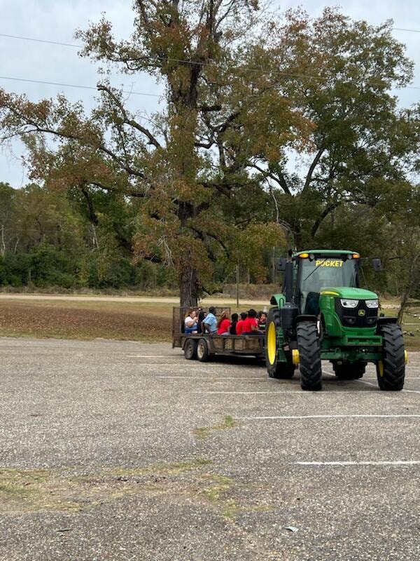 Lilly Grove Baptist Church Selma