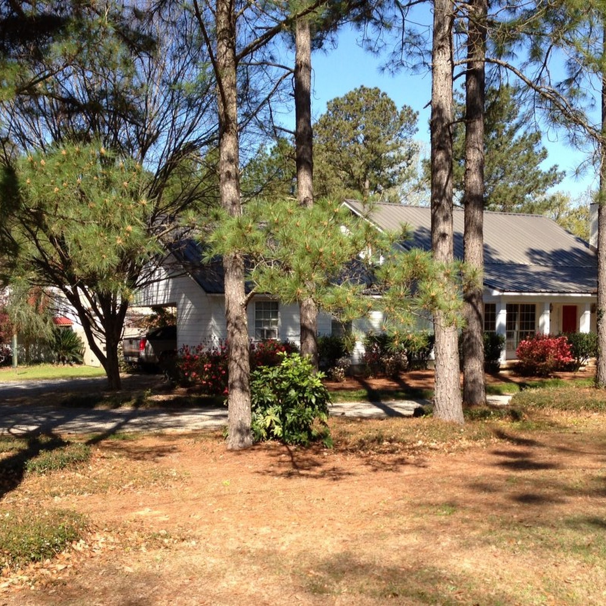 Silver Acres Pet Care Silverhill