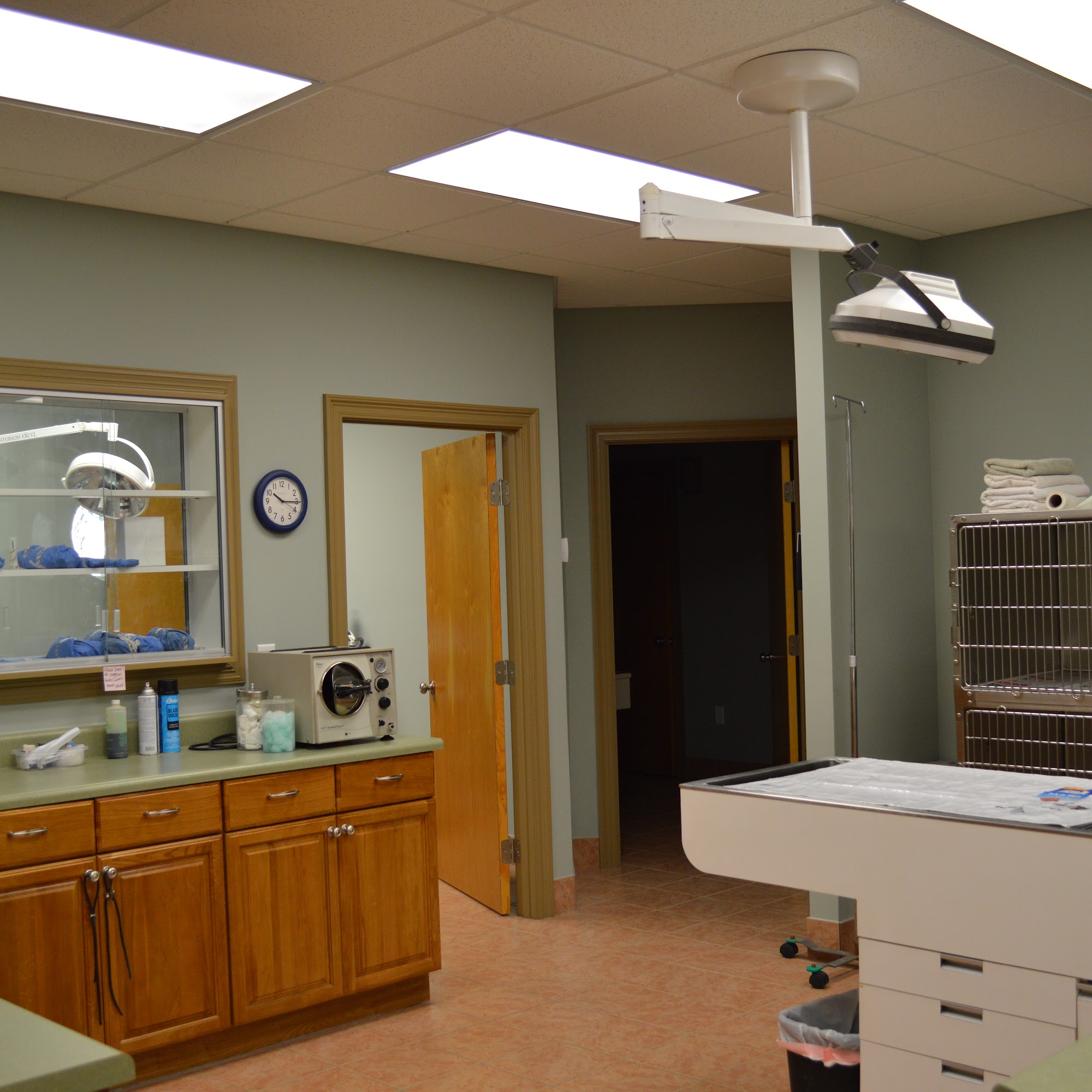 Spanish Fort Animal Clinic Spanish Fort