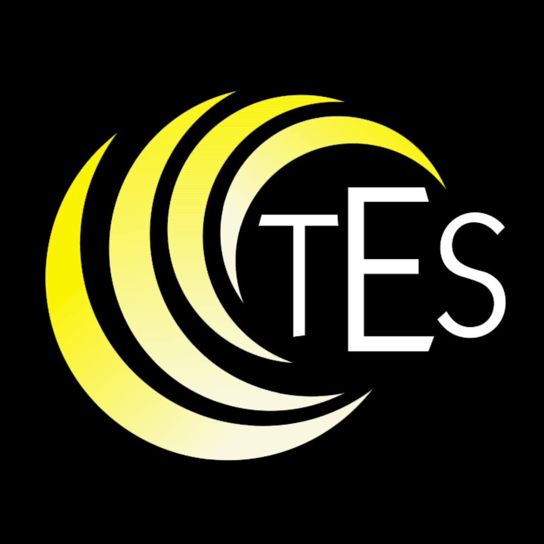 Tony's Electrical Services, LLC