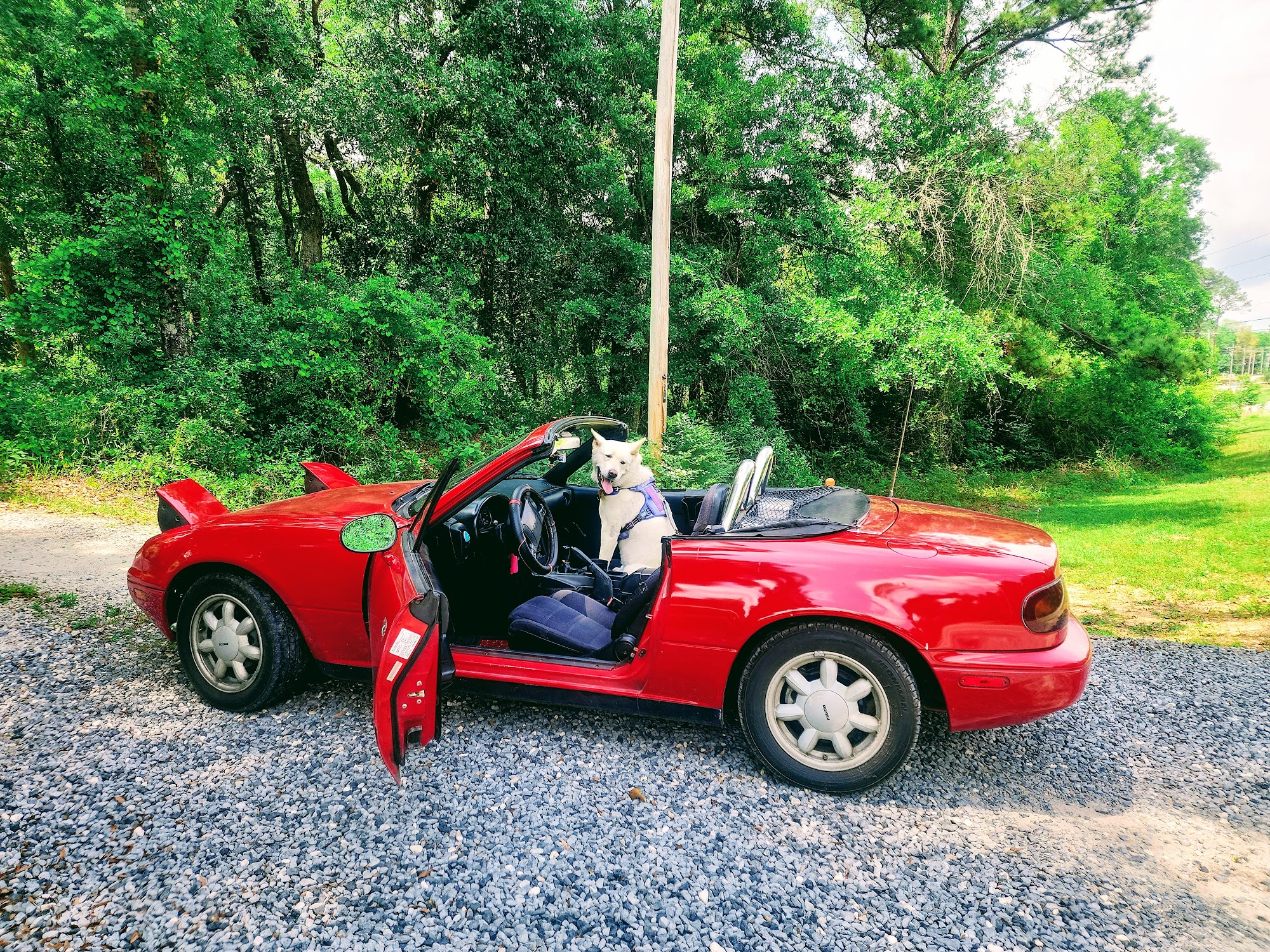 Paw of the South, LLC Summerdale