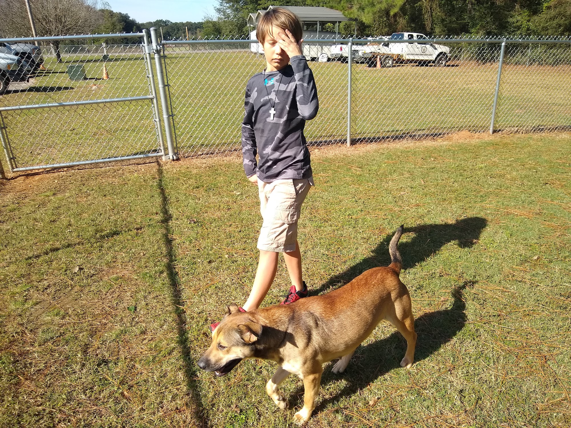 Baldwin County Animal Shelter Summerdale