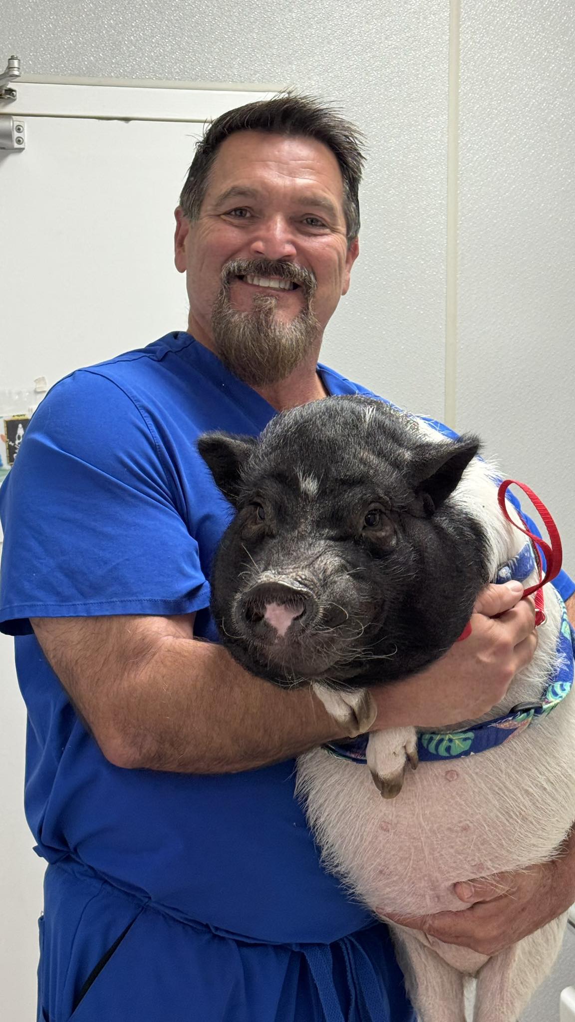 Theodore Veterinary Hospital: Elstner Nicole DVM Theodore