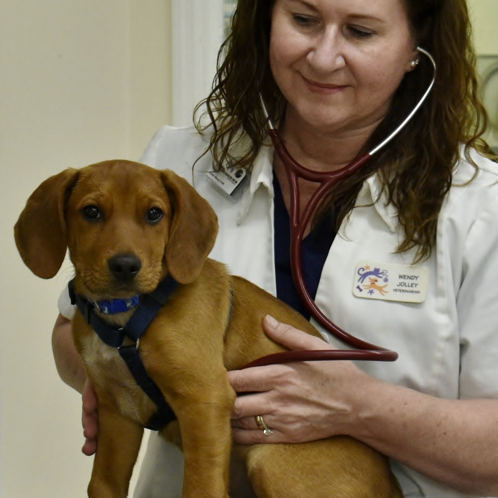 Family Pet Care Toney