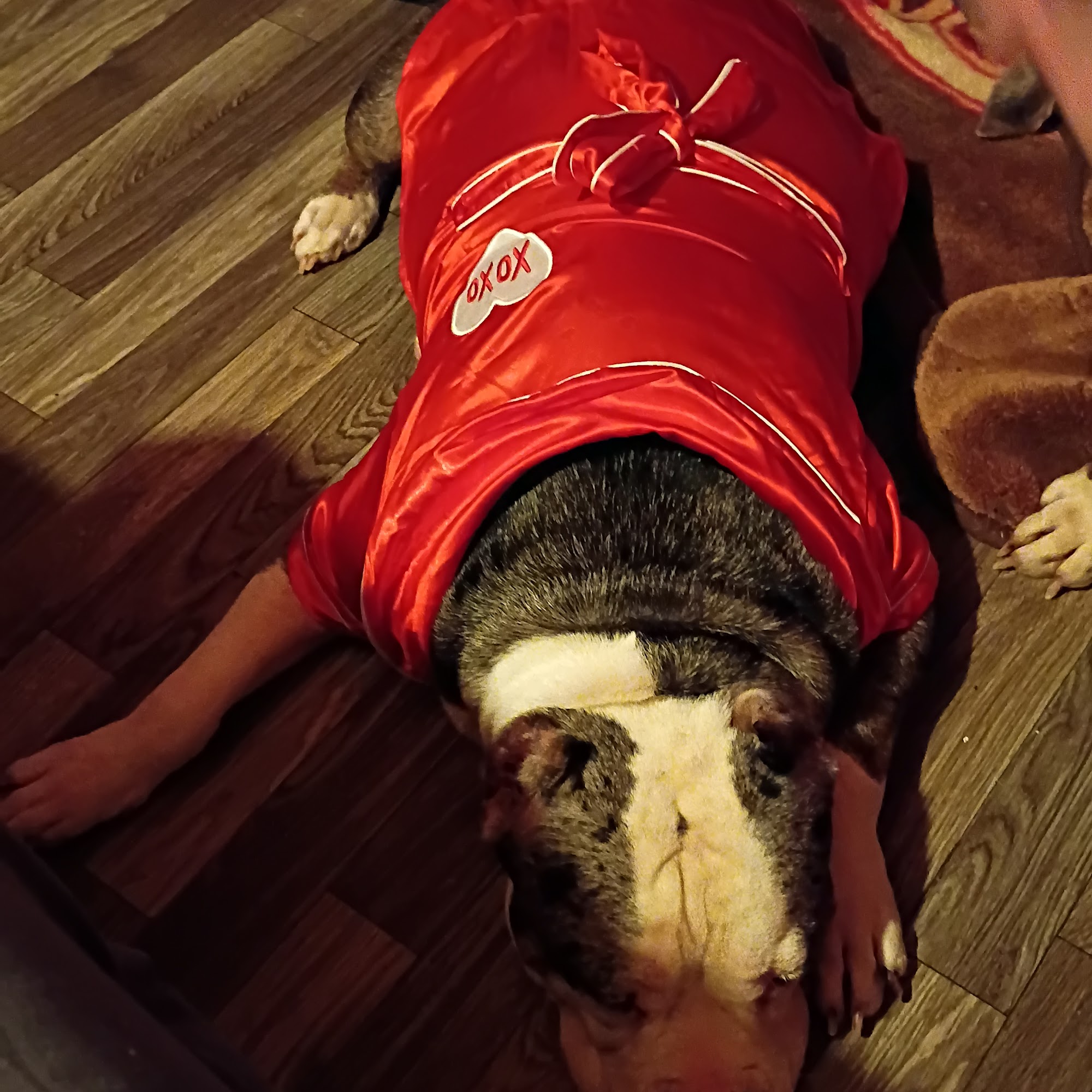 Southern Animal Hospital and Pet Resort Troy