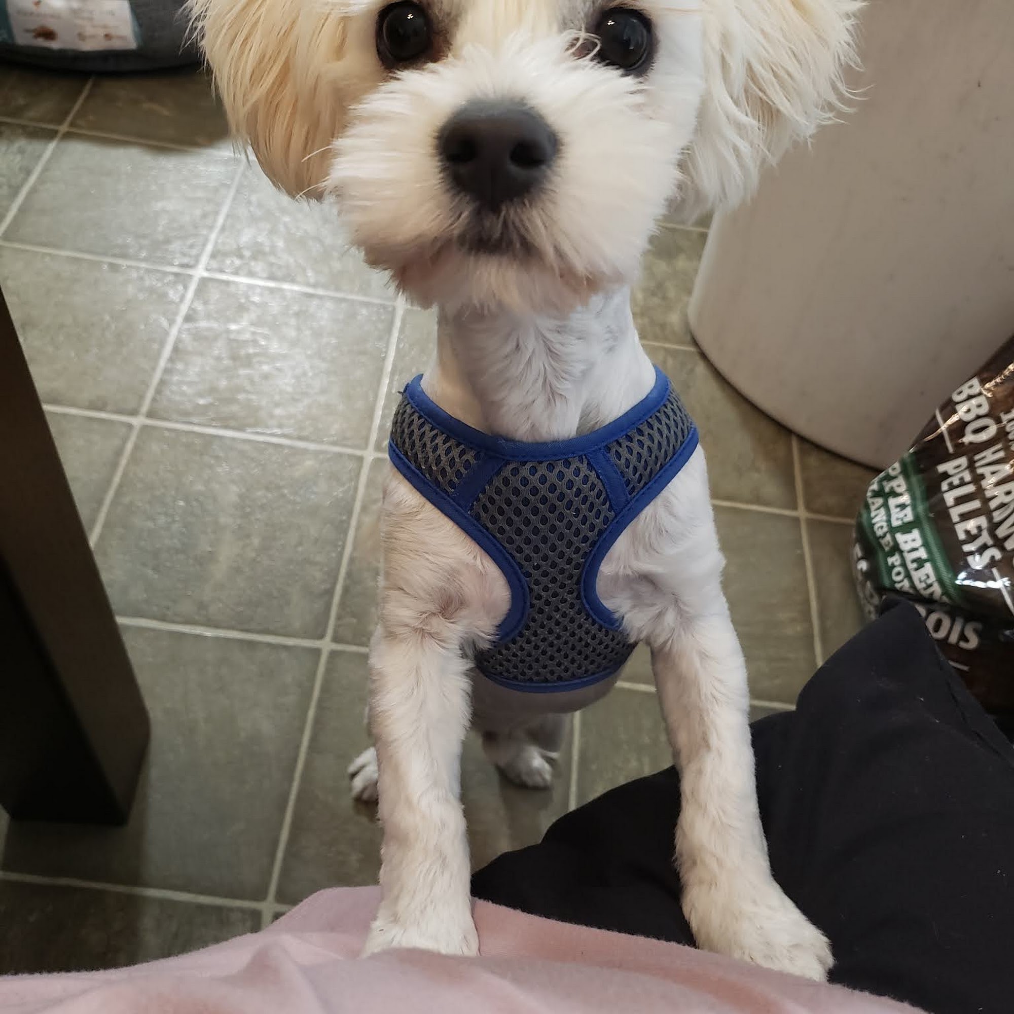 69 South Veterinary Clinic Tuscaloosa