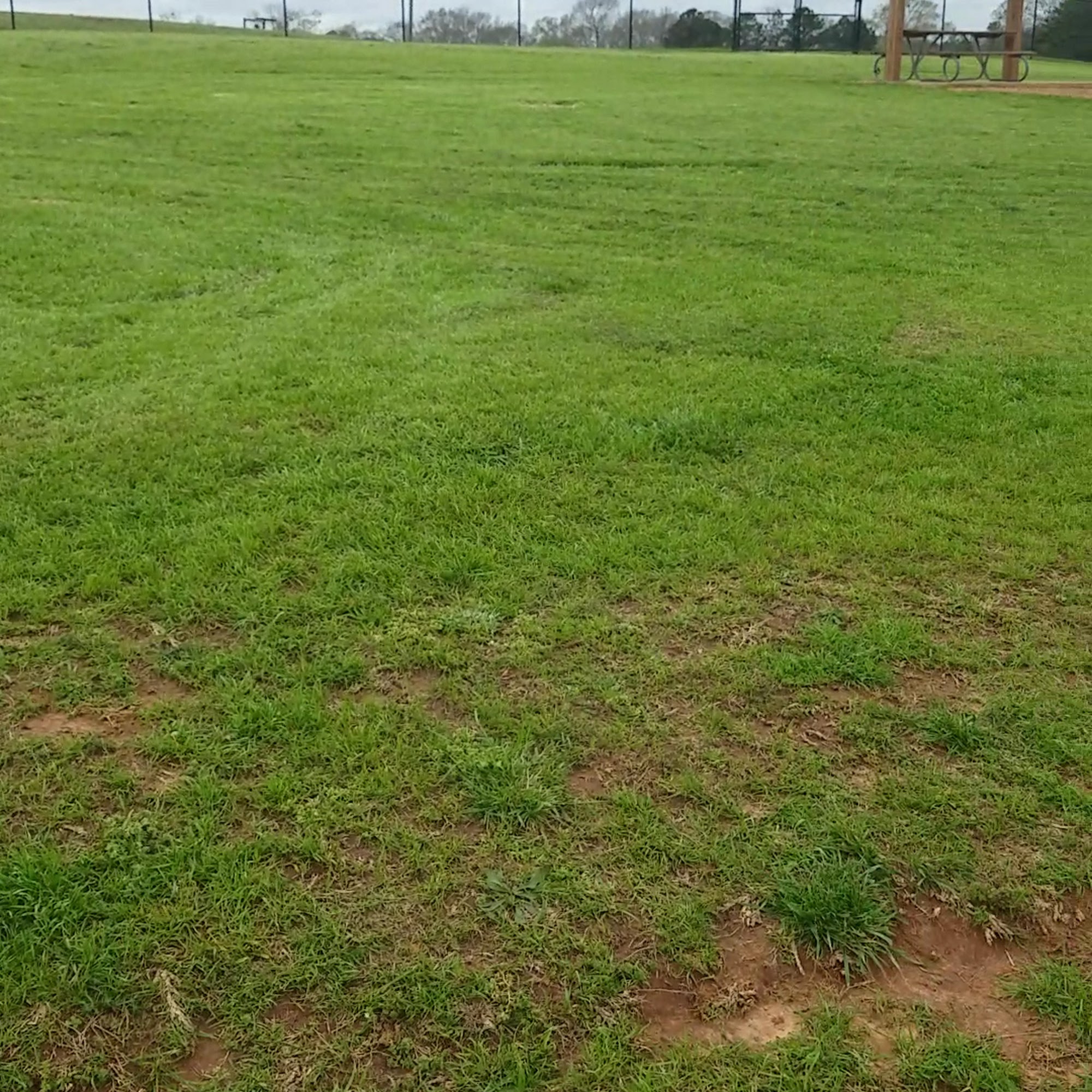 Will May Dog Park Tuscaloosa