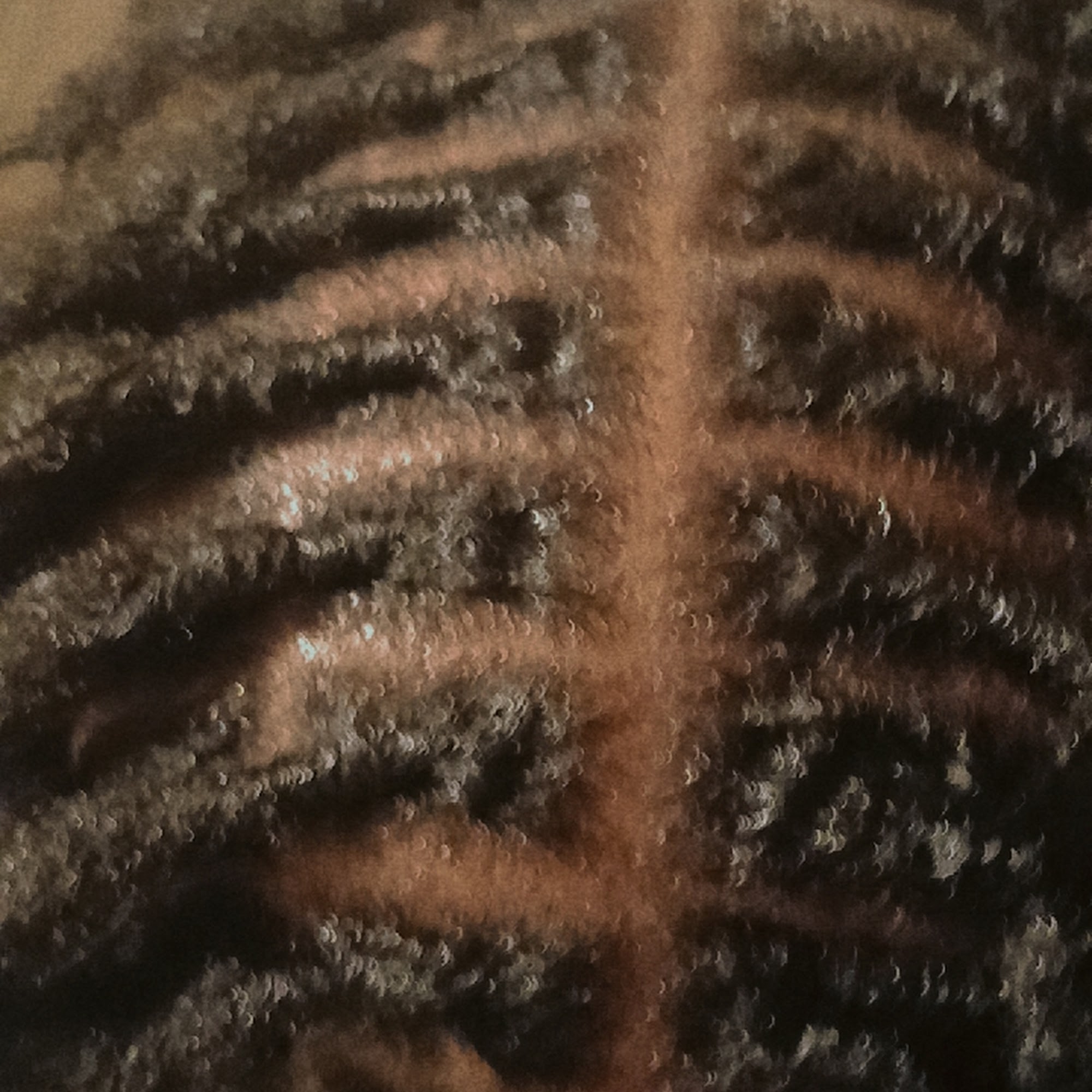 1beautywithin 721 34th E St, Tuscaloosa Alabama 35405