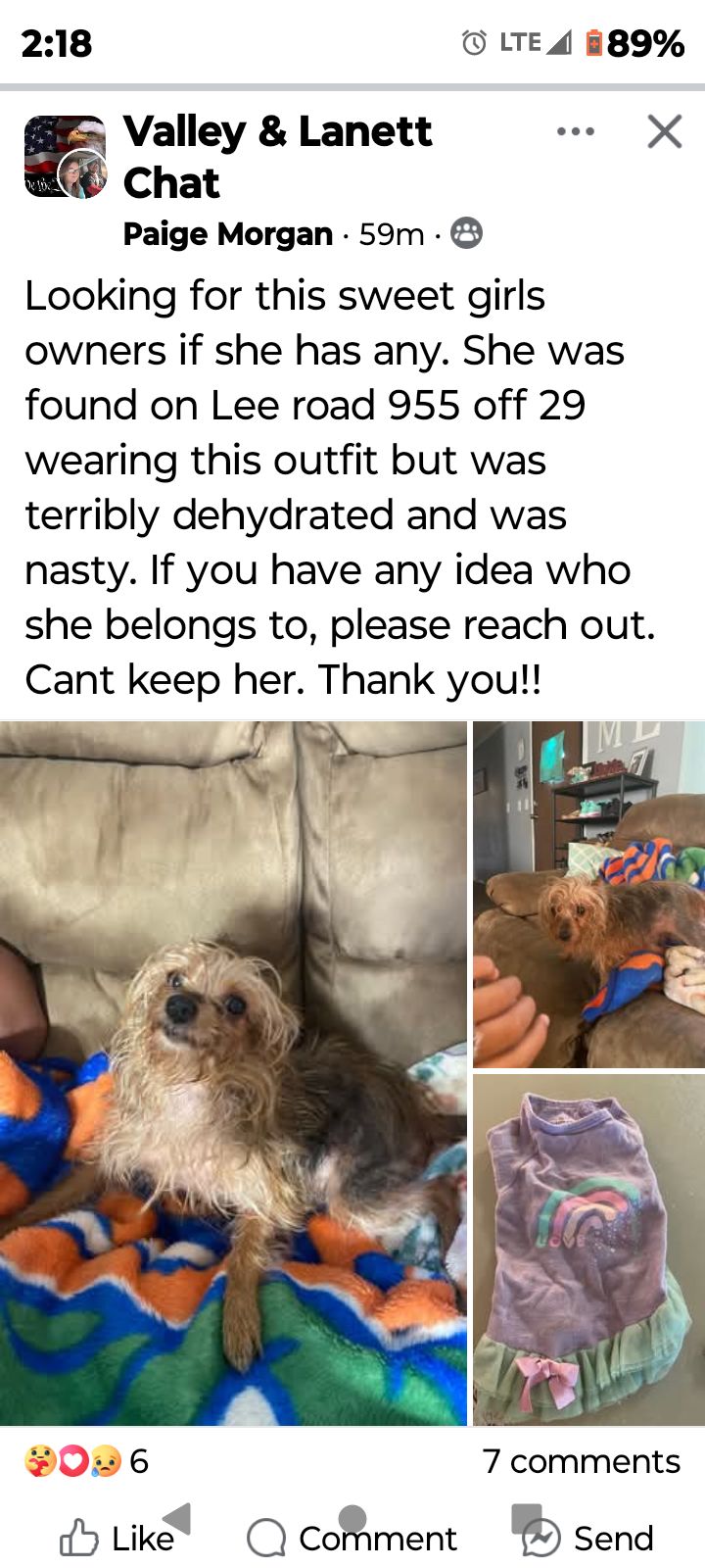 Pawsitively Purrfect Valley, Al 36854 Valley