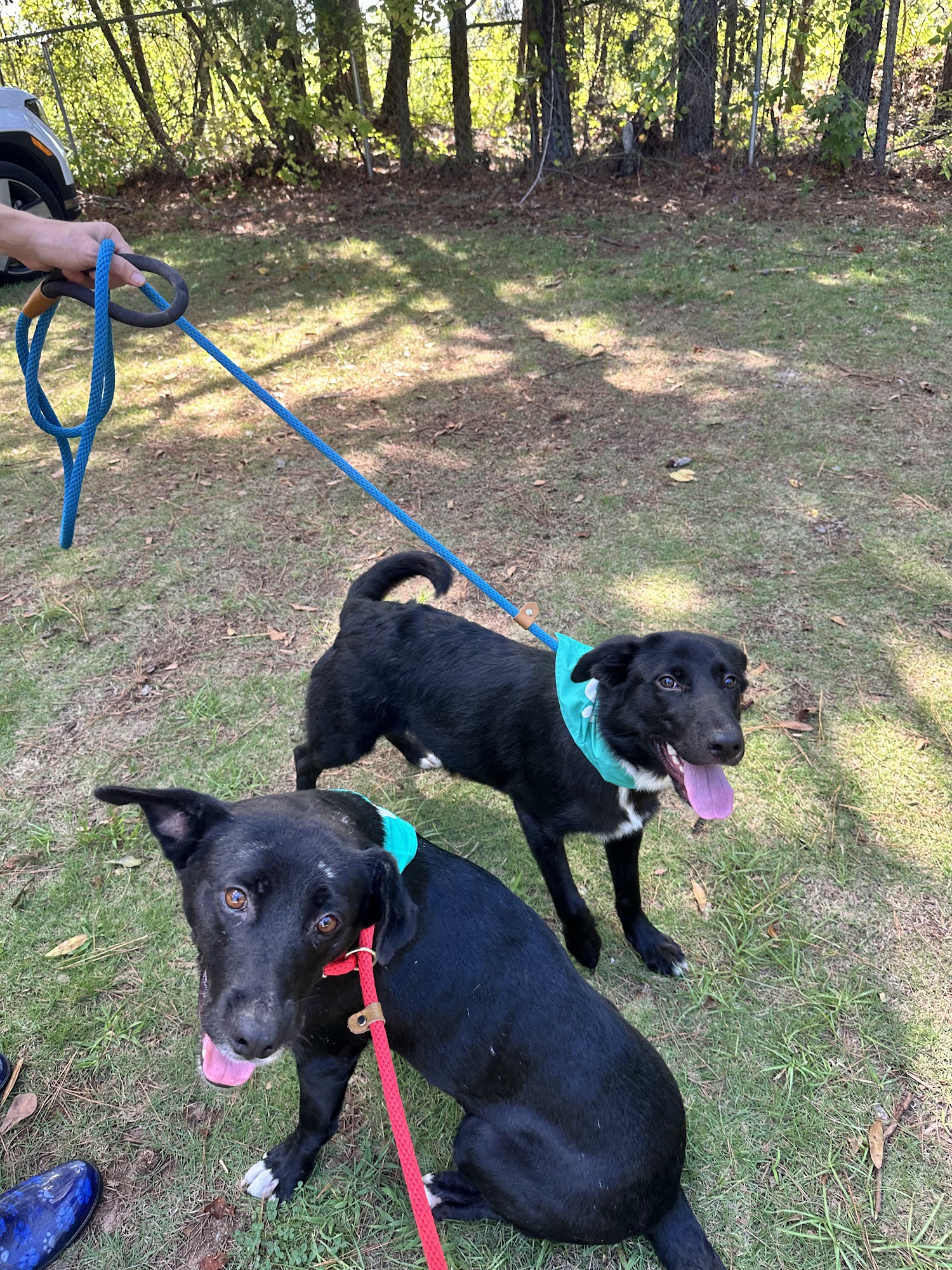 Chattahoochee Humane Society Valley