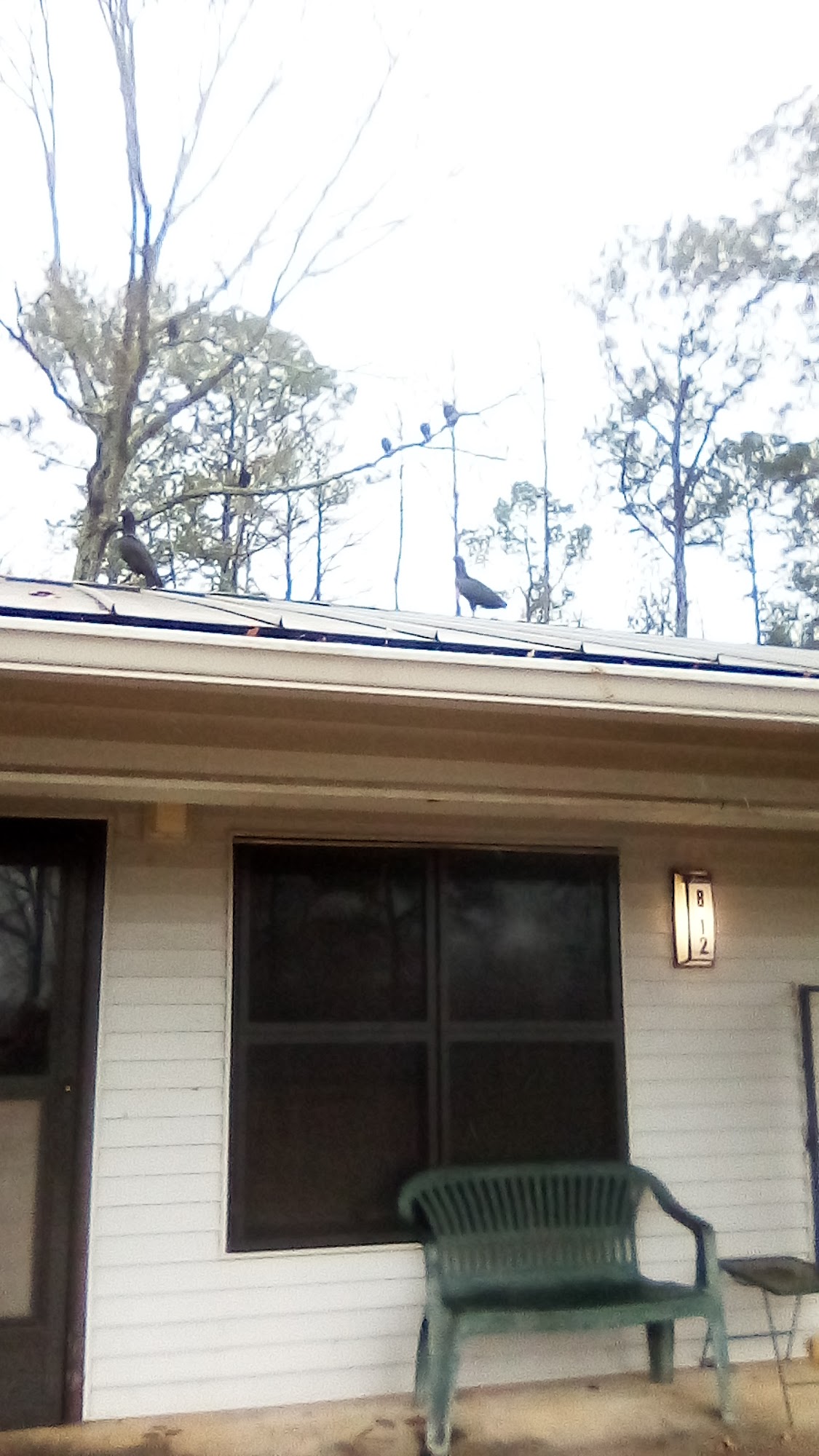 Same Day Delivery Inc