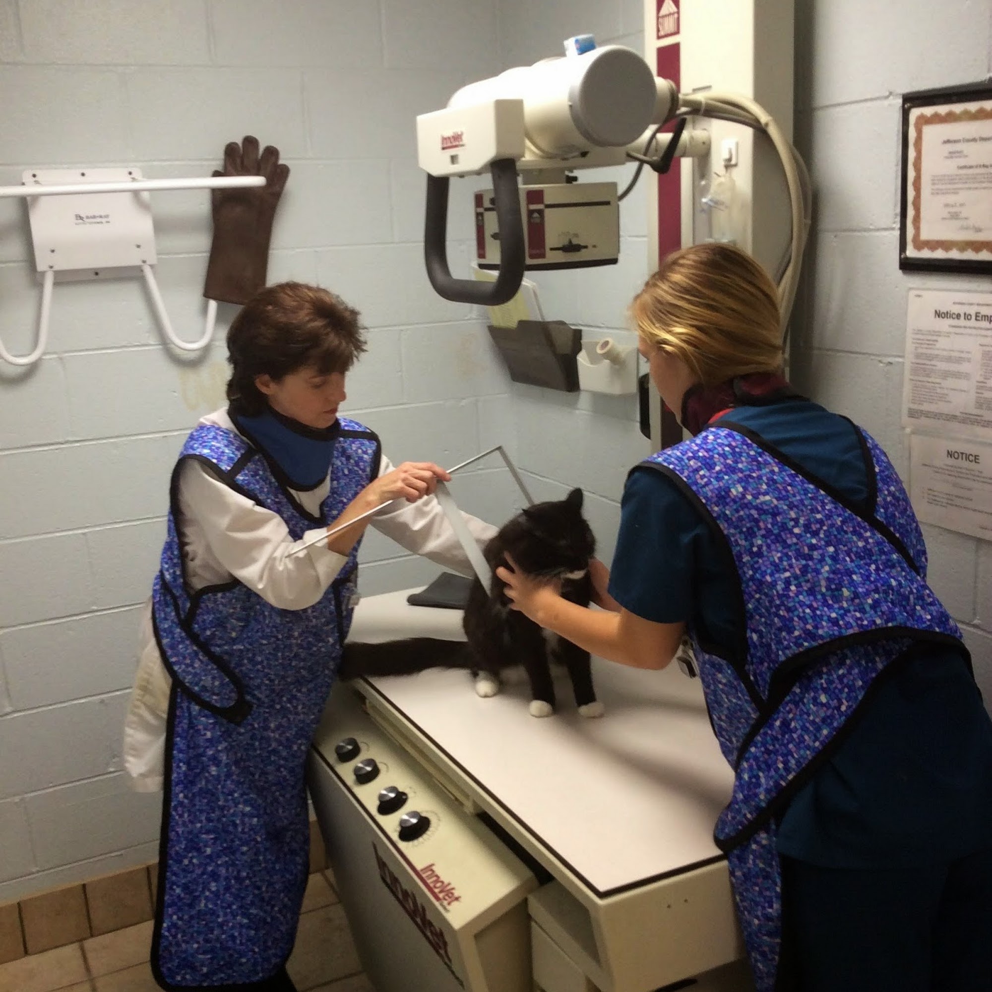 Vestridge Animal Clinic Vestavia Hills