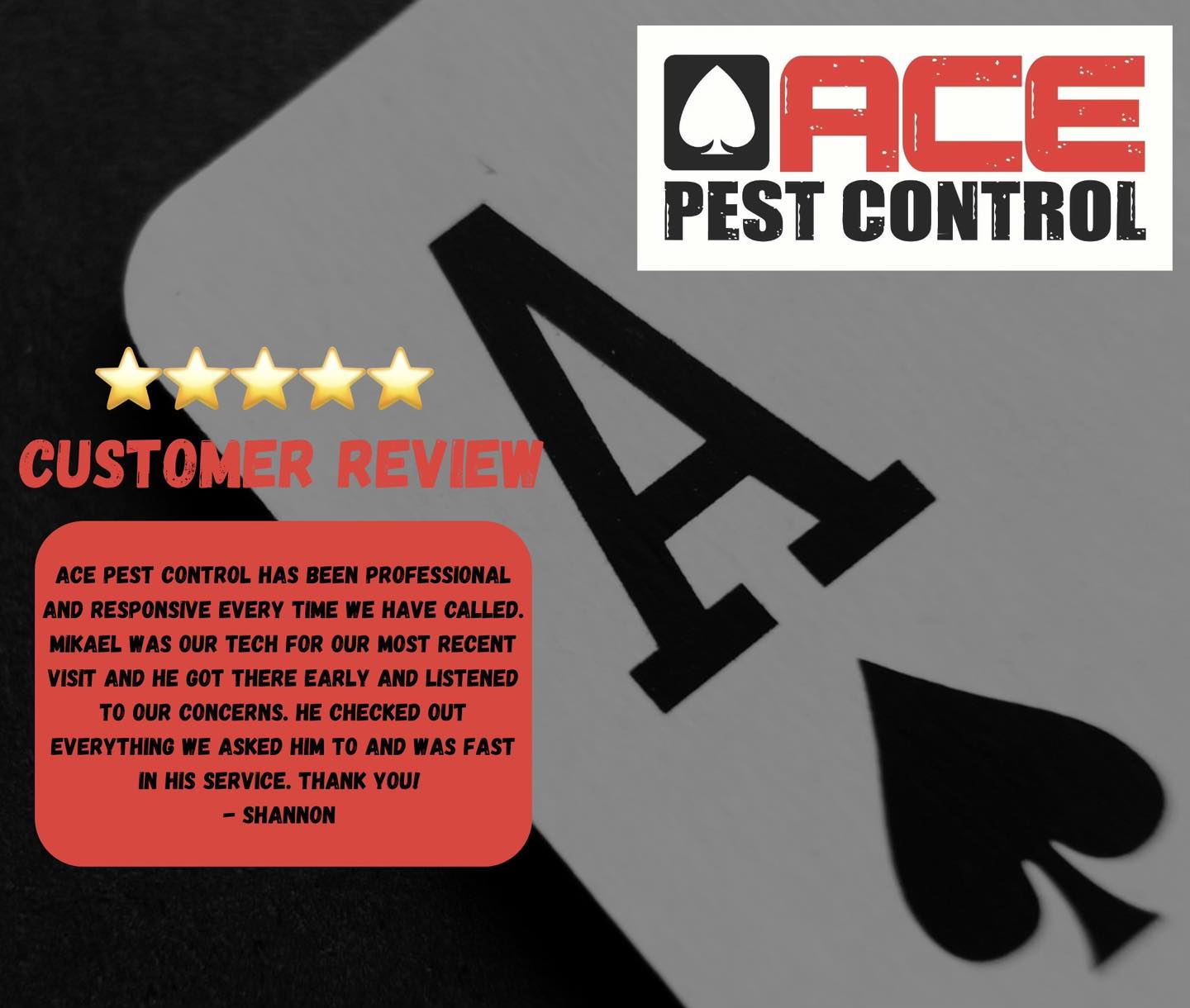 Ace Pest Control LLC 442 Clark Cutoff, Wellington Alabama 36279