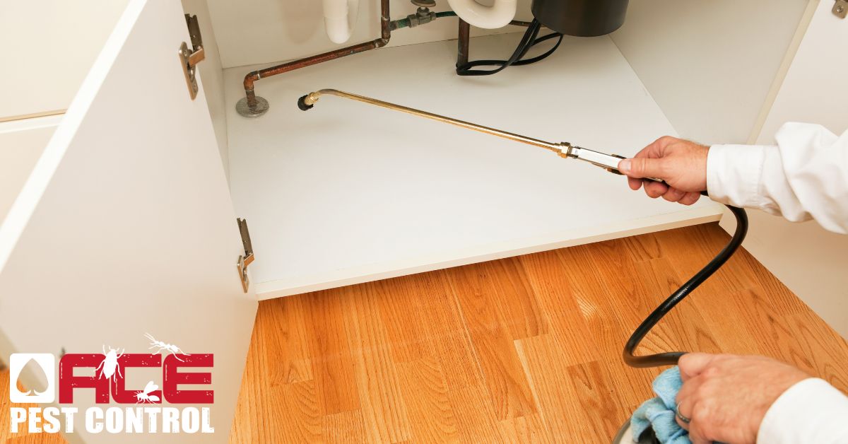 Ace Pest Control LLC