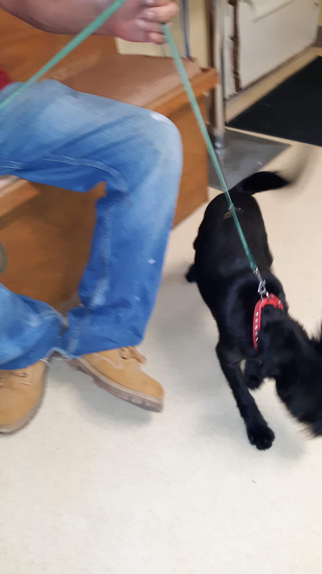 Arkadelphia Pet Care Arkadelphia